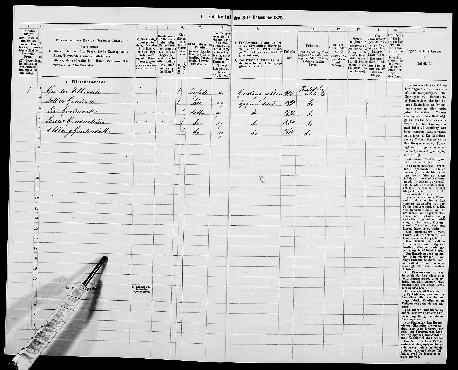 SAK, 1875 census for 1046P Sirdal, 1875, p. 45