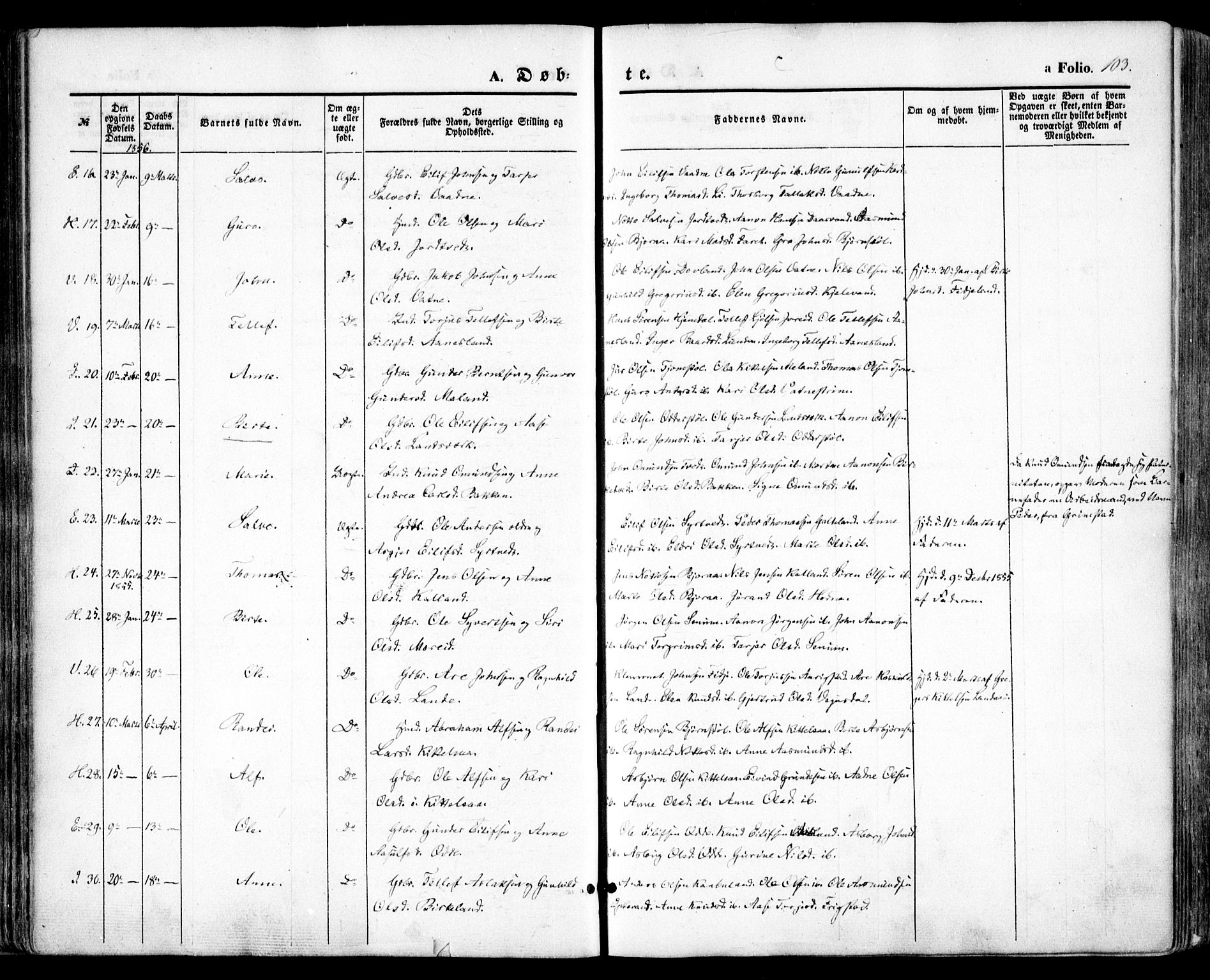 Evje sokneprestkontor, AV/SAK-1111-0008/F/Fa/Faa/L0005: Parish register (official) no. A 5, 1843-1865, p. 103