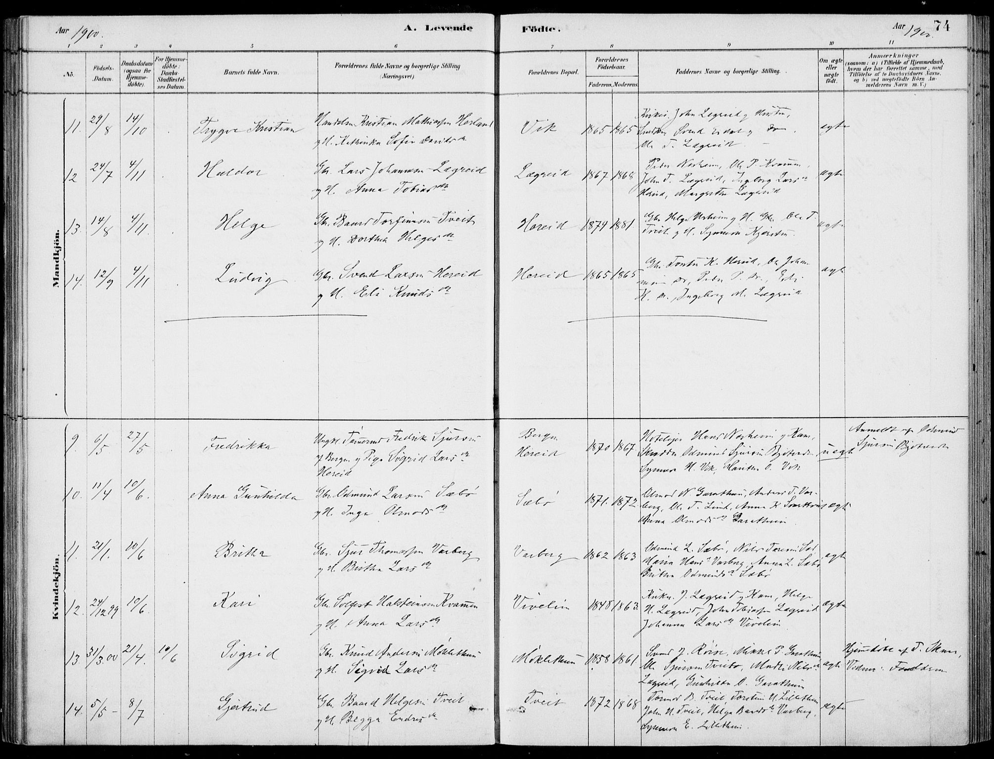 Ulvik sokneprestembete, AV/SAB-A-78801/H/Haa: Parish register (official) no. D  1, 1878-1903, p. 74