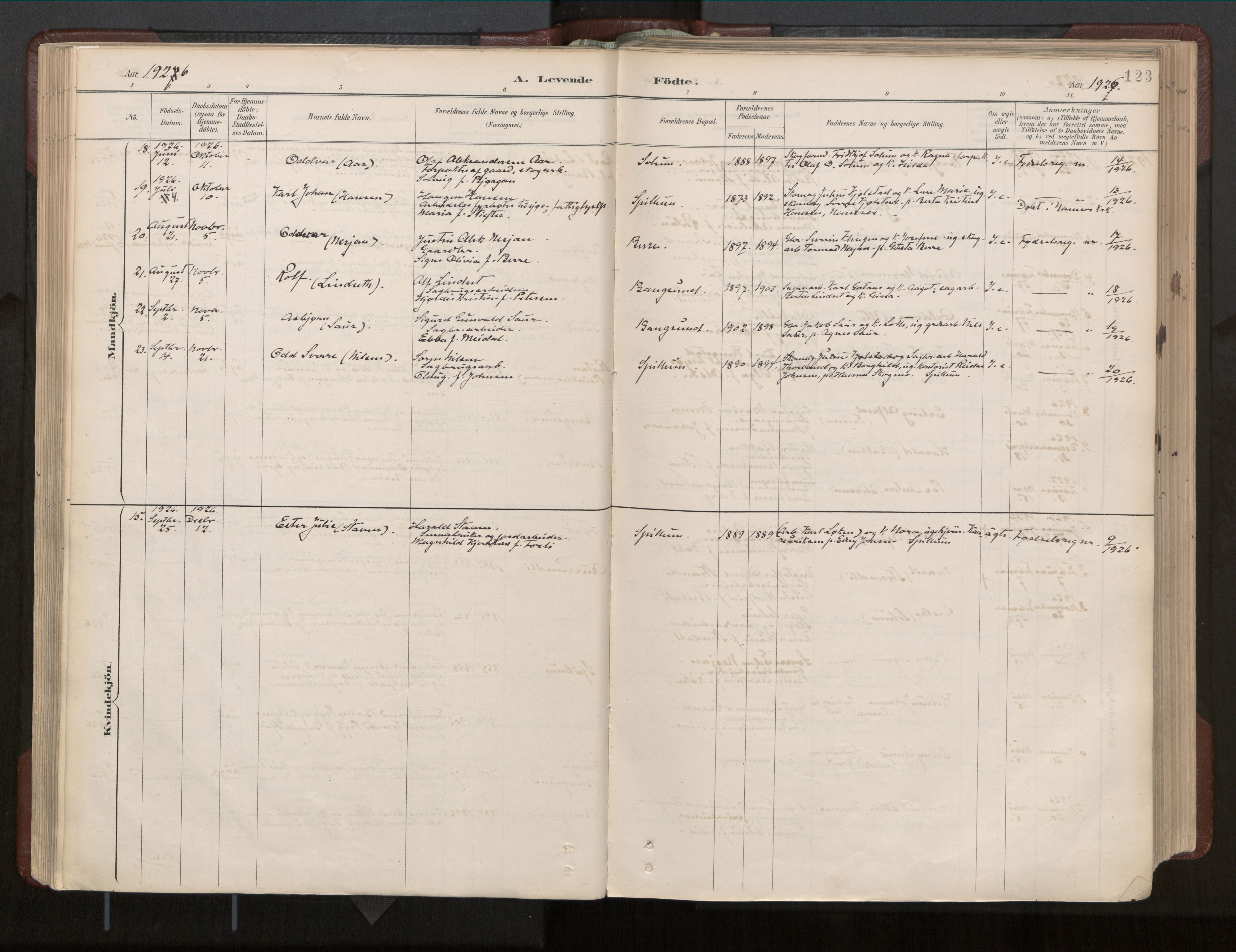 Ministerialprotokoller, klokkerbøker og fødselsregistre - Nord-Trøndelag, AV/SAT-A-1458/770/L0589: Parish register (official) no. 770A03, 1887-1929, p. 123