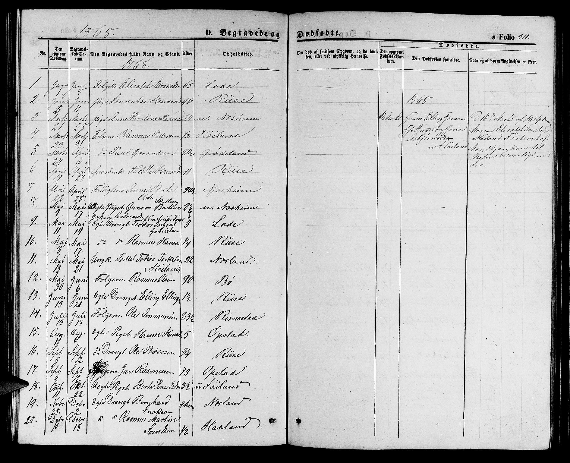 Hå sokneprestkontor, AV/SAST-A-101801/001/30BB/L0001: Parish register (copy) no. B 1, 1854-1883, p. 314