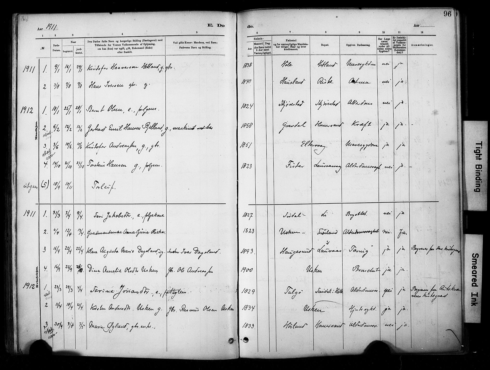 Hetland sokneprestkontor, SAST/A-101826/30/30BA/L0010: Parish register (official) no. A 10, 1882-1925, p. 96