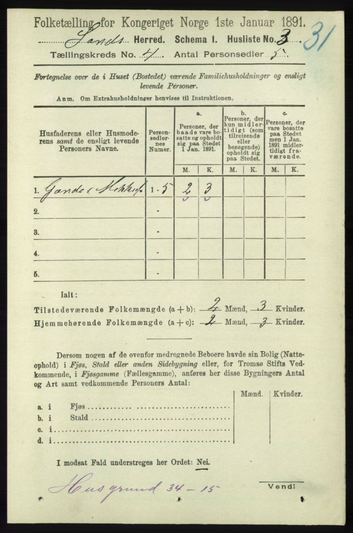 RA, 1891 census for 1136 Sand, 1891, p. 1156