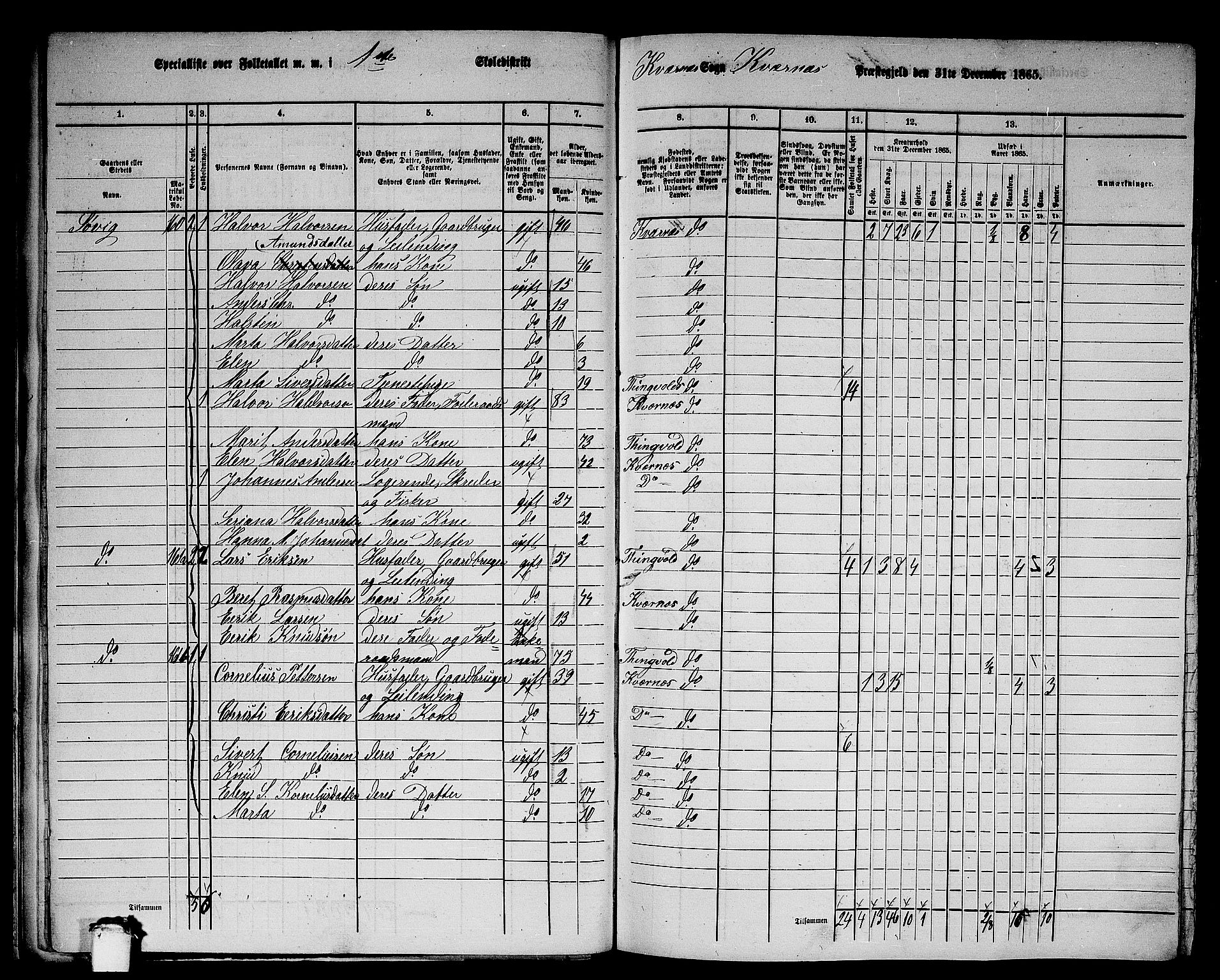 RA, 1865 census for Kvernes, 1865, p. 30