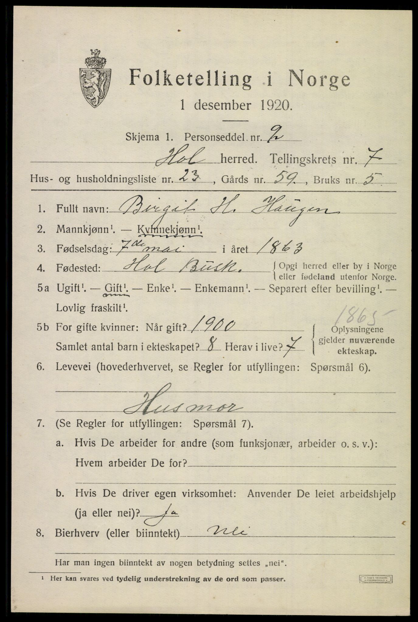 SAKO, 1920 census for Hol (Buskerud), 1920, p. 3789