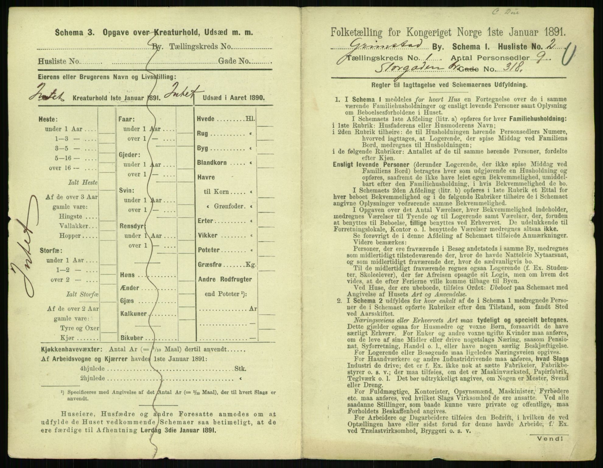 RA, 1891 census for 0904 Grimstad, 1891, p. 22