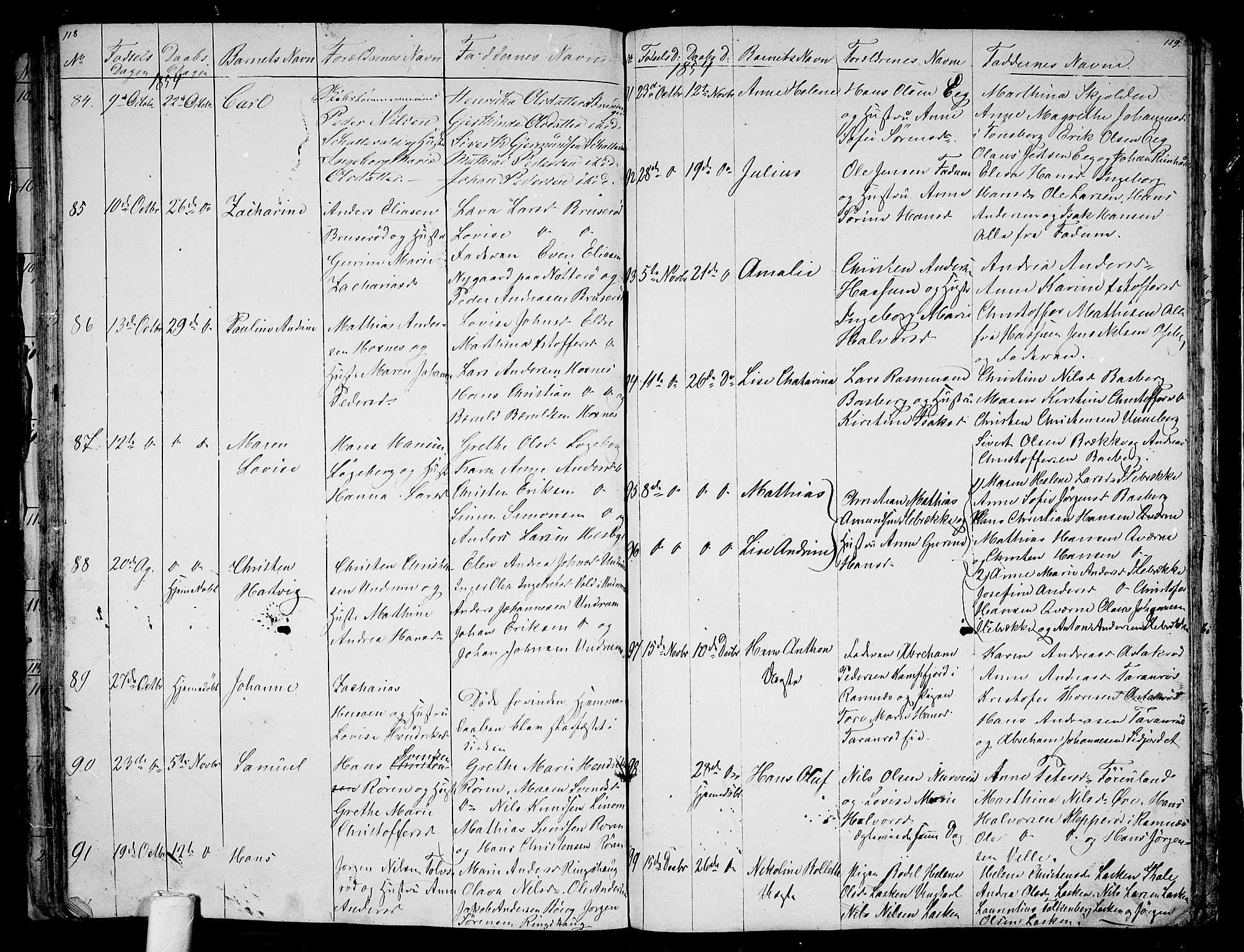 Sem kirkebøker, AV/SAKO-A-5/G/Ga/L0003: Parish register (copy) no. I 3, 1844-1855, p. 118-119