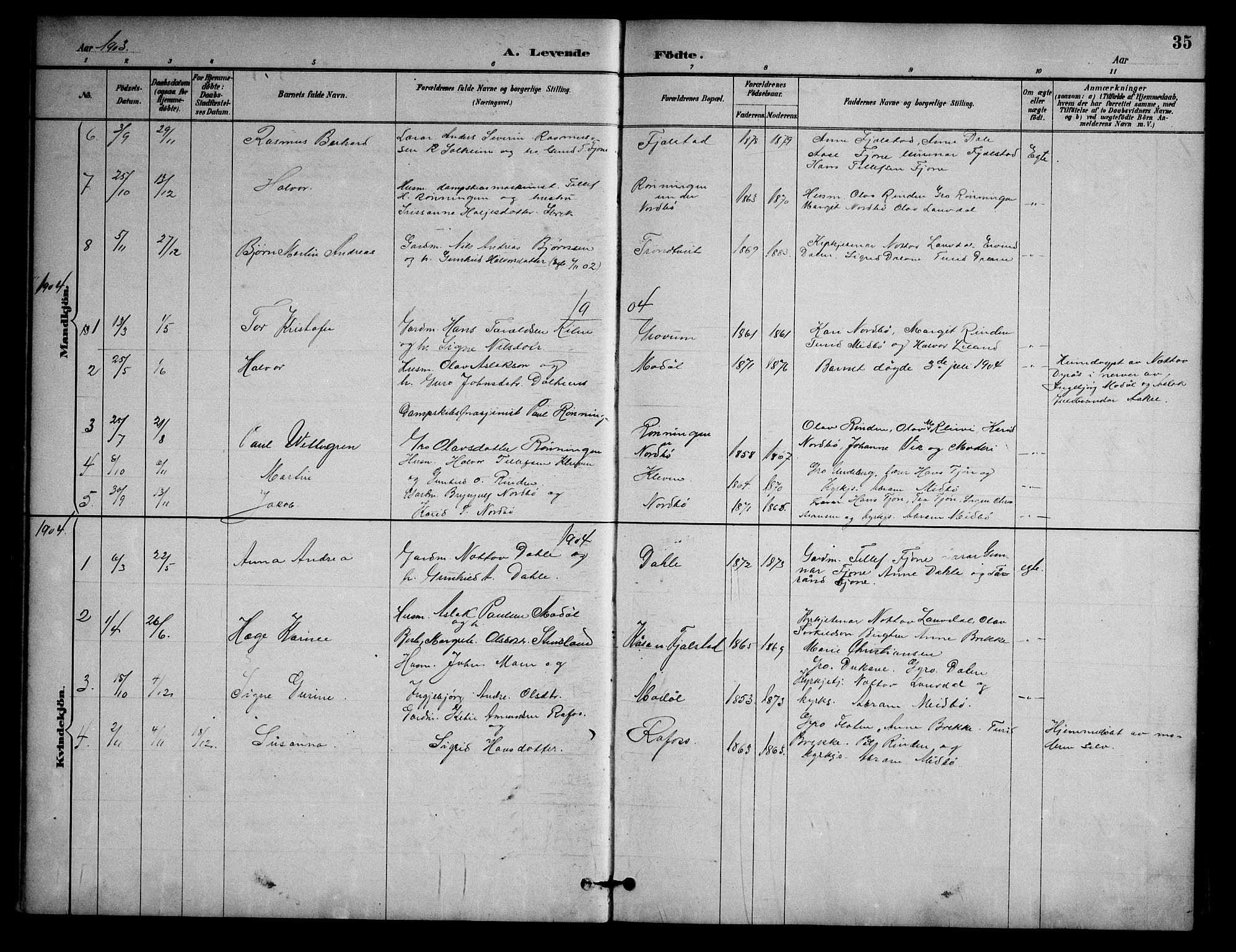 Nissedal kirkebøker, SAKO/A-288/G/Ga/L0003: Parish register (copy) no. I 3, 1887-1911, p. 35