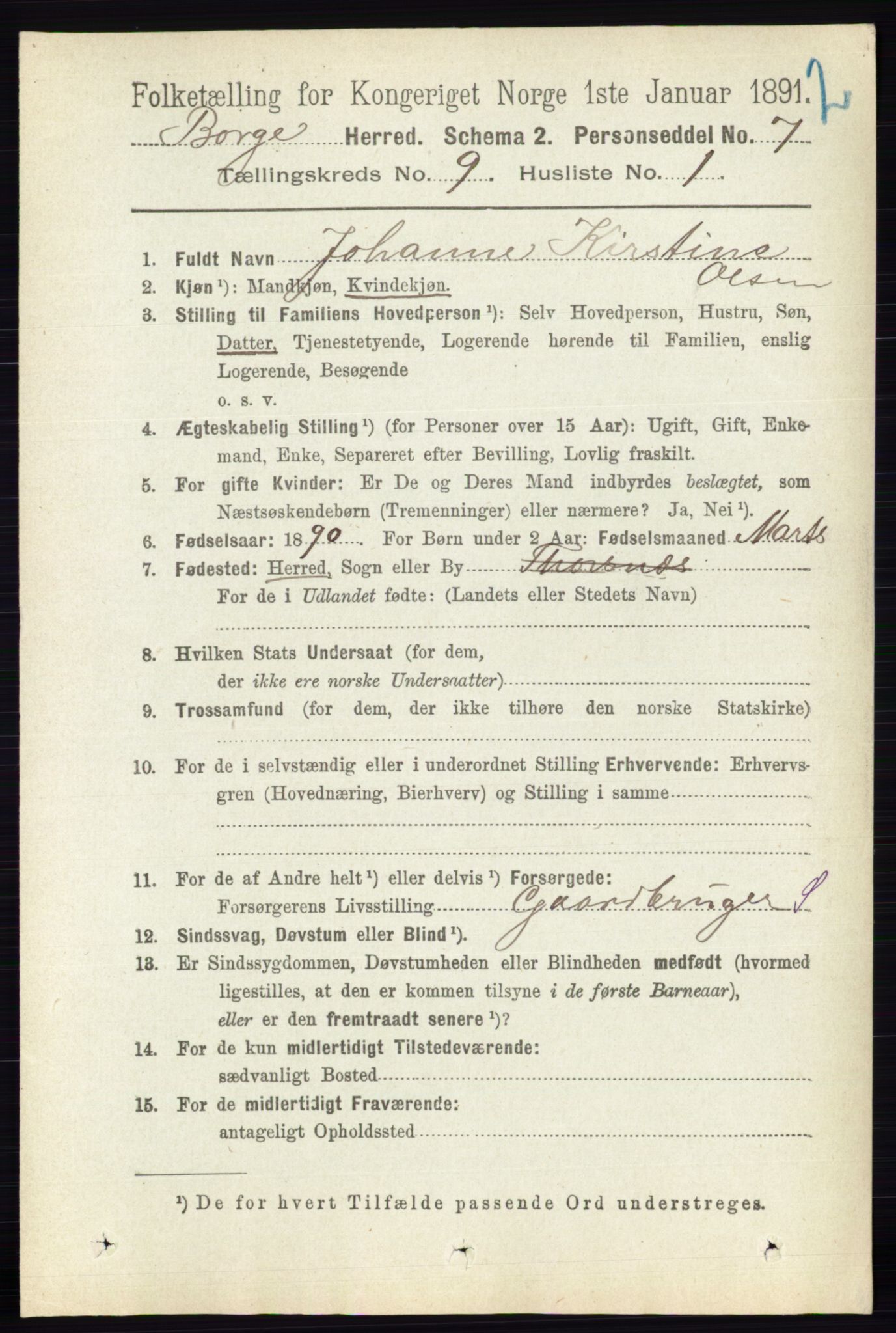 RA, 1891 census for 0113 Borge, 1891, p. 5762