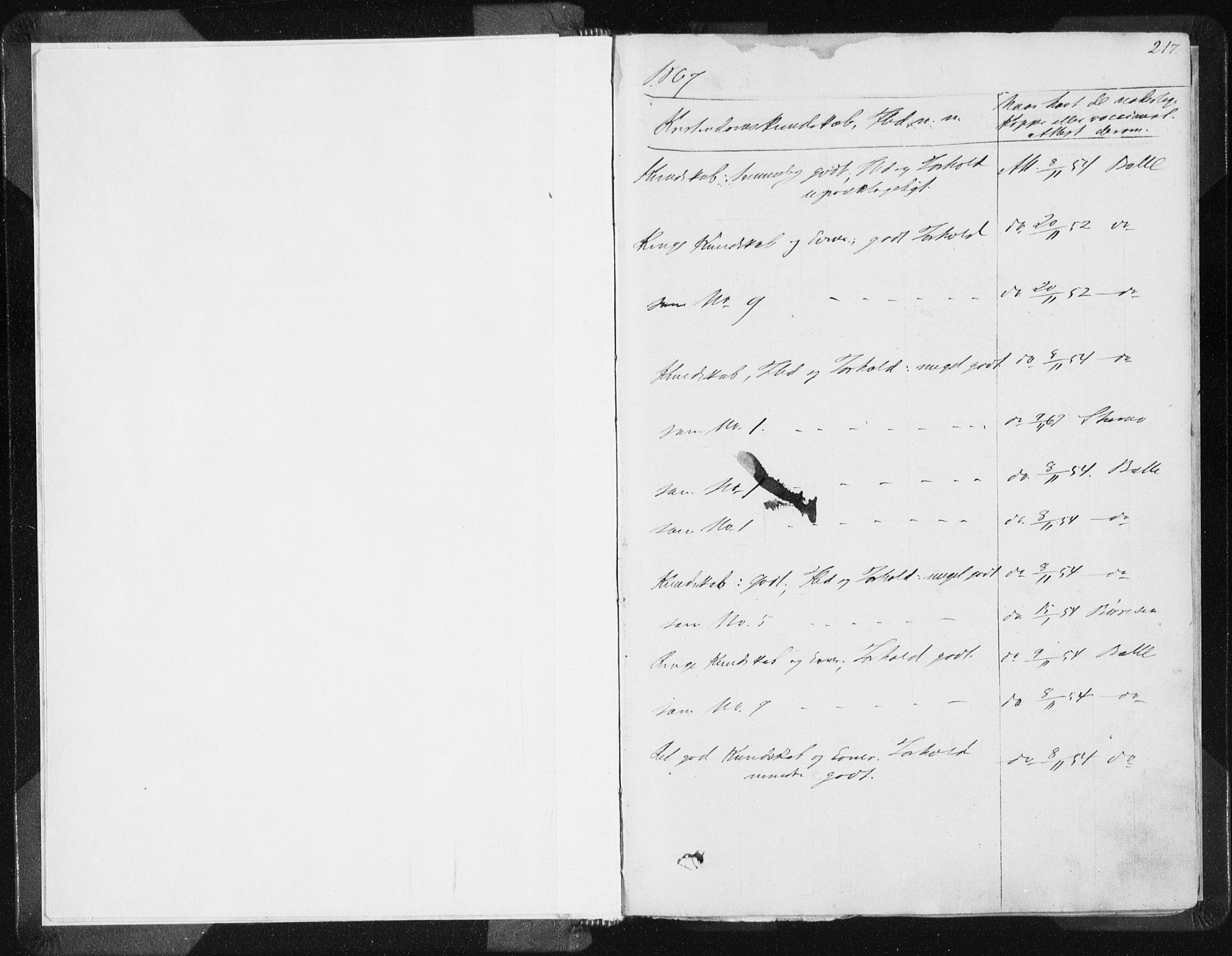 Vikedal sokneprestkontor, SAST/A-101840/01/IV: Parish register (official) no. A 6.2, 1851-1867, p. 217