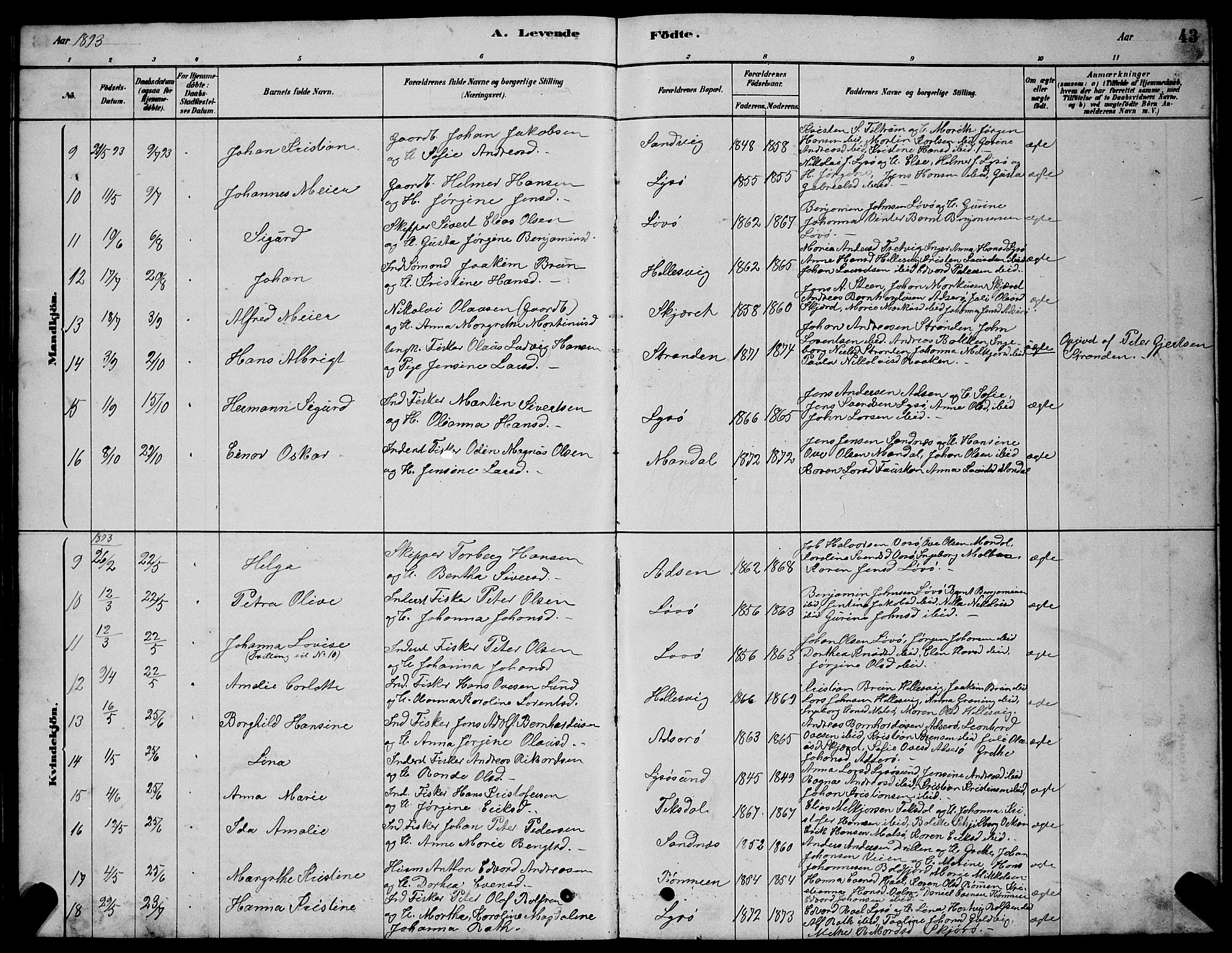 Ministerialprotokoller, klokkerbøker og fødselsregistre - Sør-Trøndelag, SAT/A-1456/654/L0665: Parish register (copy) no. 654C01, 1879-1901, p. 43