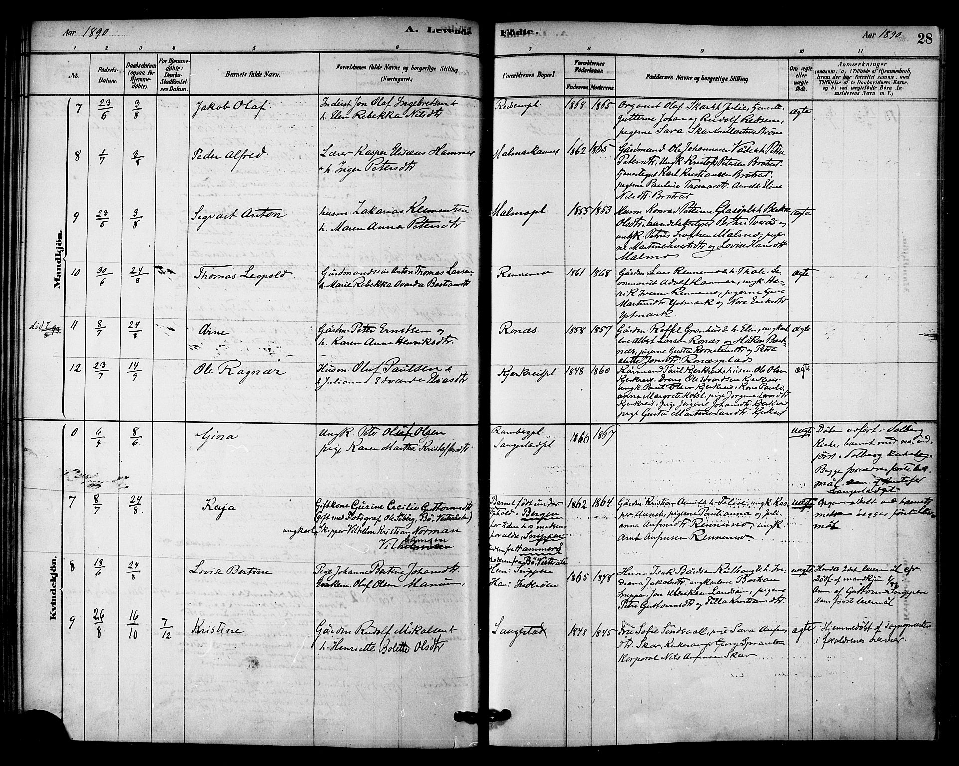 Ministerialprotokoller, klokkerbøker og fødselsregistre - Nord-Trøndelag, SAT/A-1458/745/L0429: Parish register (official) no. 745A01, 1878-1894, p. 28