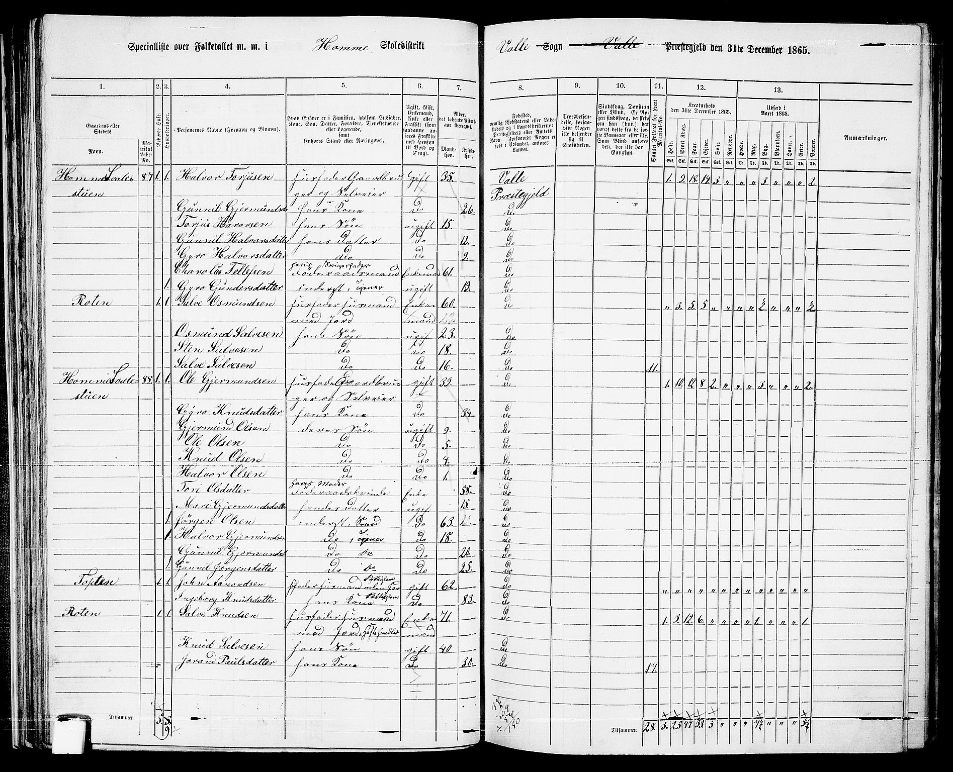 RA, 1865 census for Valle, 1865, p. 53