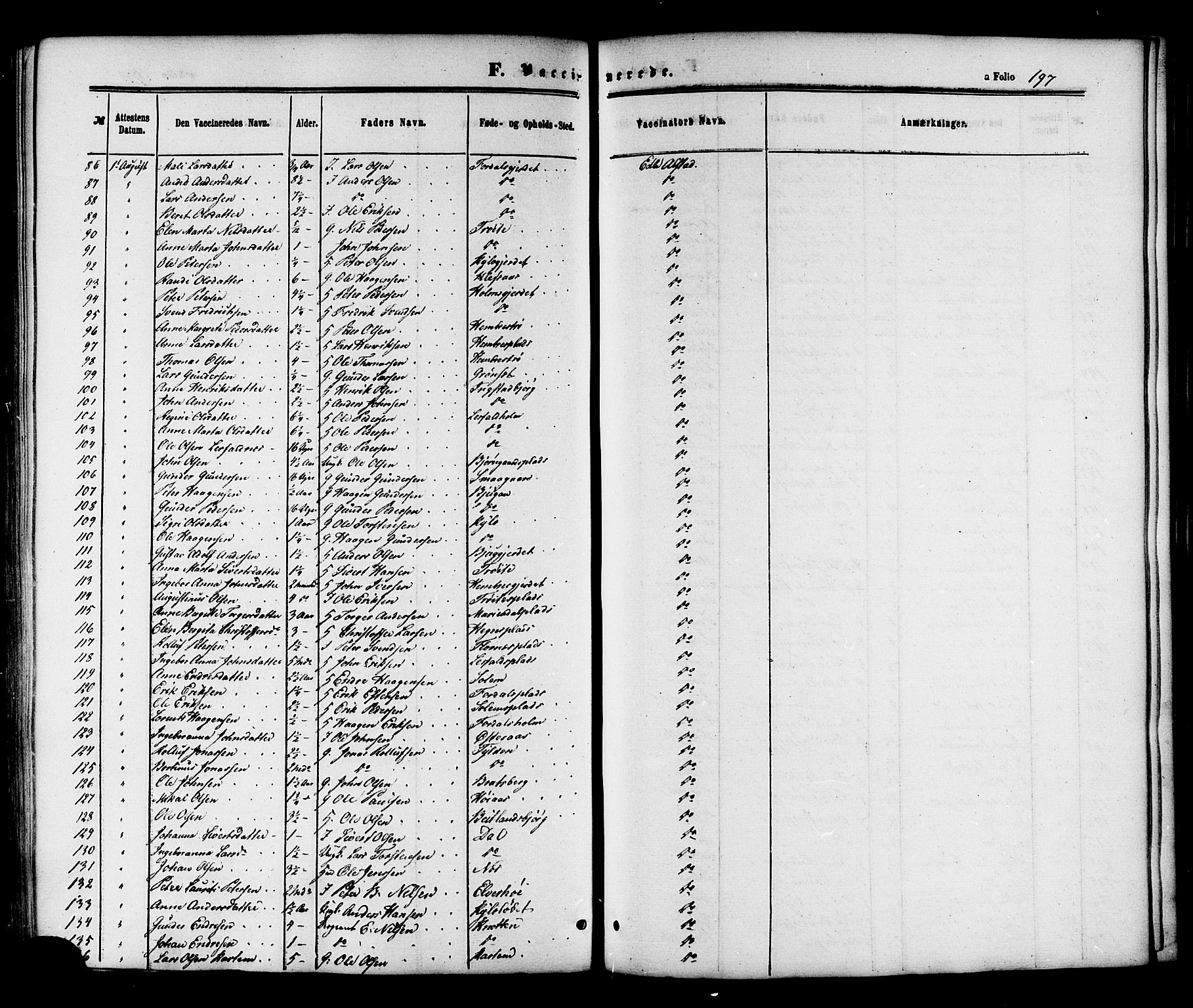 Ministerialprotokoller, klokkerbøker og fødselsregistre - Nord-Trøndelag, SAT/A-1458/703/L0029: Parish register (official) no. 703A02, 1863-1879, p. 197