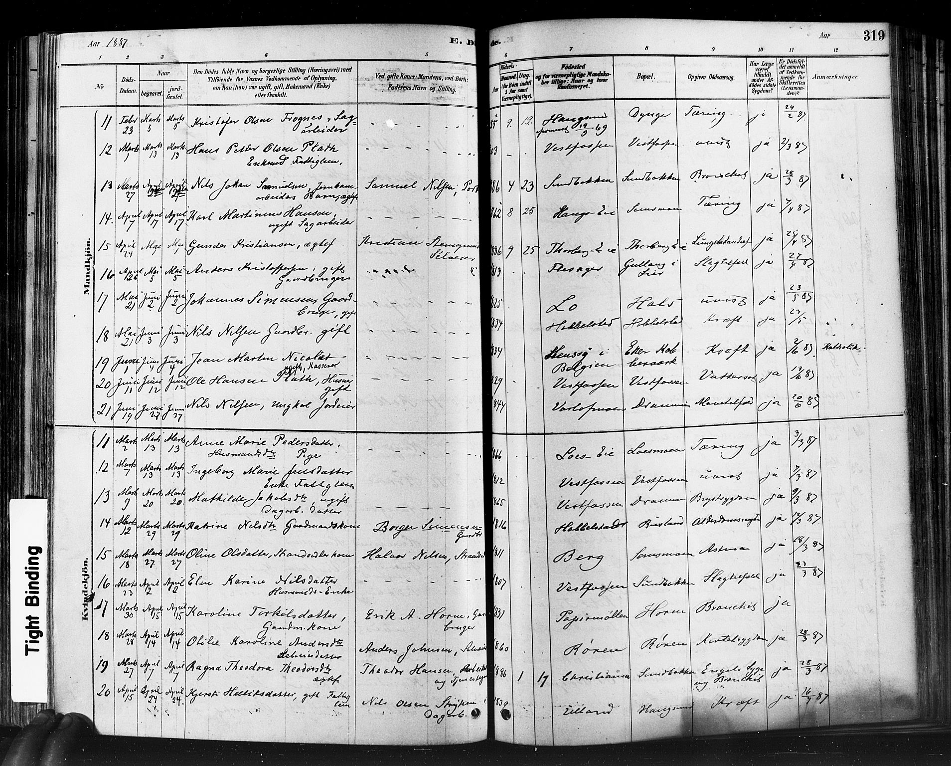 Eiker kirkebøker, SAKO/A-4/F/Fb/L0001: Parish register (official) no. II 1, 1878-1888, p. 319