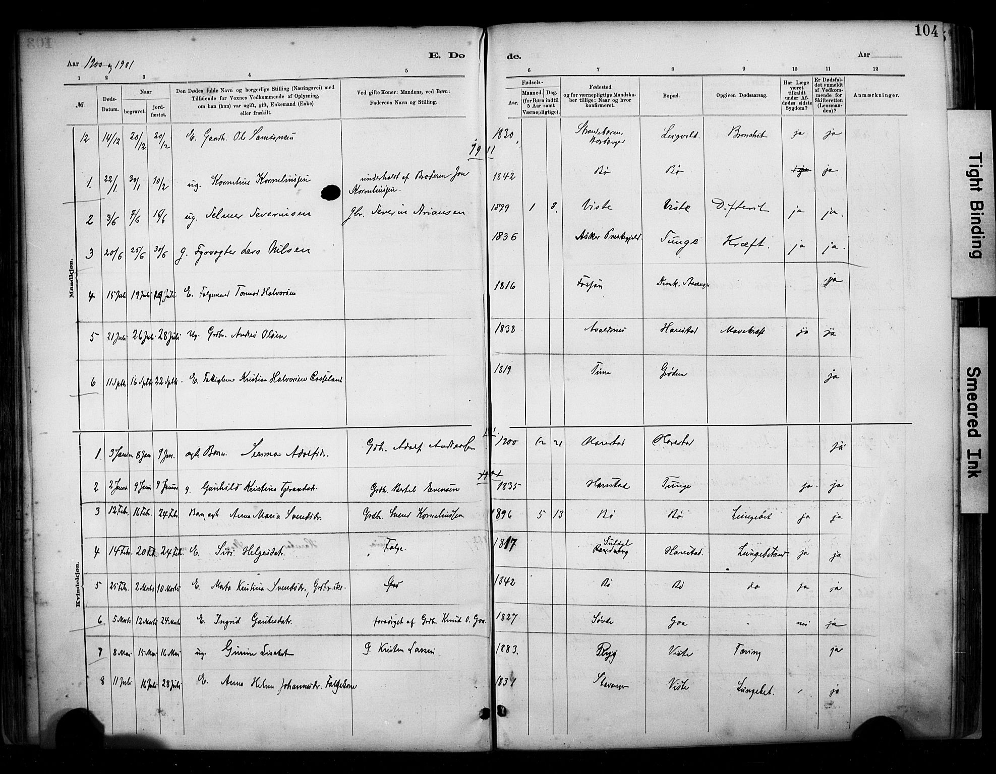 Hetland sokneprestkontor, SAST/A-101826/30/30BA/L0009: Parish register (official) no. A 9, 1882-1918, p. 104