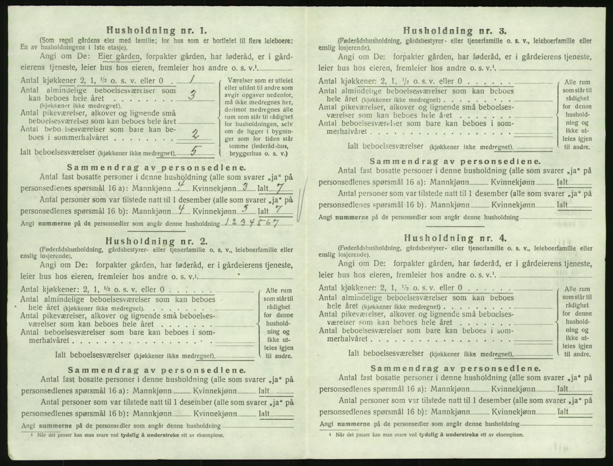 SAK, 1920 census for Hornnes, 1920, p. 394