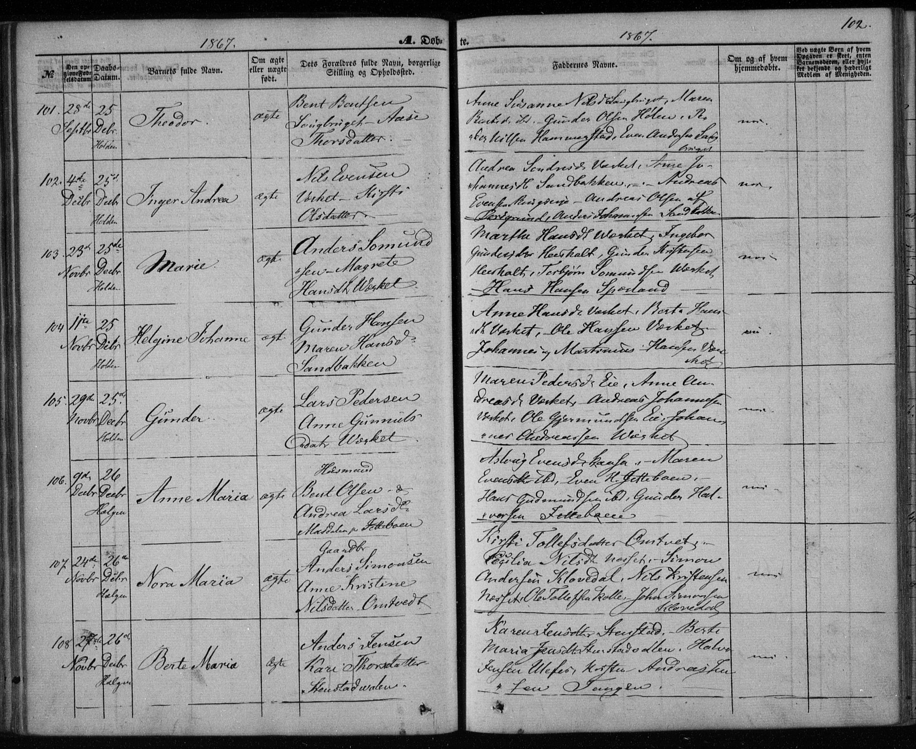 Holla kirkebøker, SAKO/A-272/F/Fa/L0006: Parish register (official) no. 6, 1861-1869, p. 102