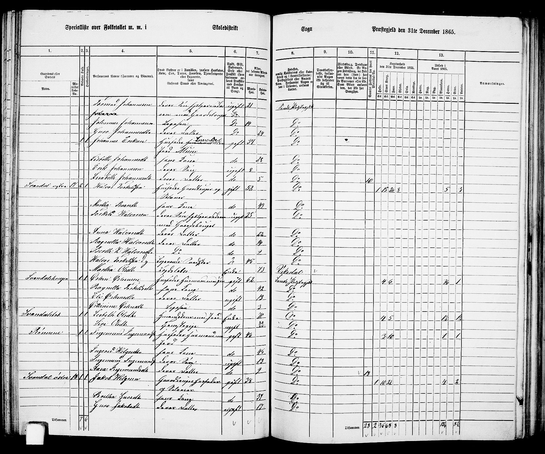 RA, 1865 census for Sand, 1865, p. 86