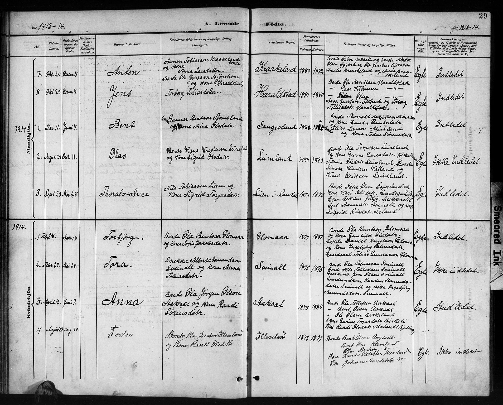 Holum sokneprestkontor, SAK/1111-0022/F/Fb/Fbb/L0004: Parish register (copy) no. B 4, 1899-1920, p. 29