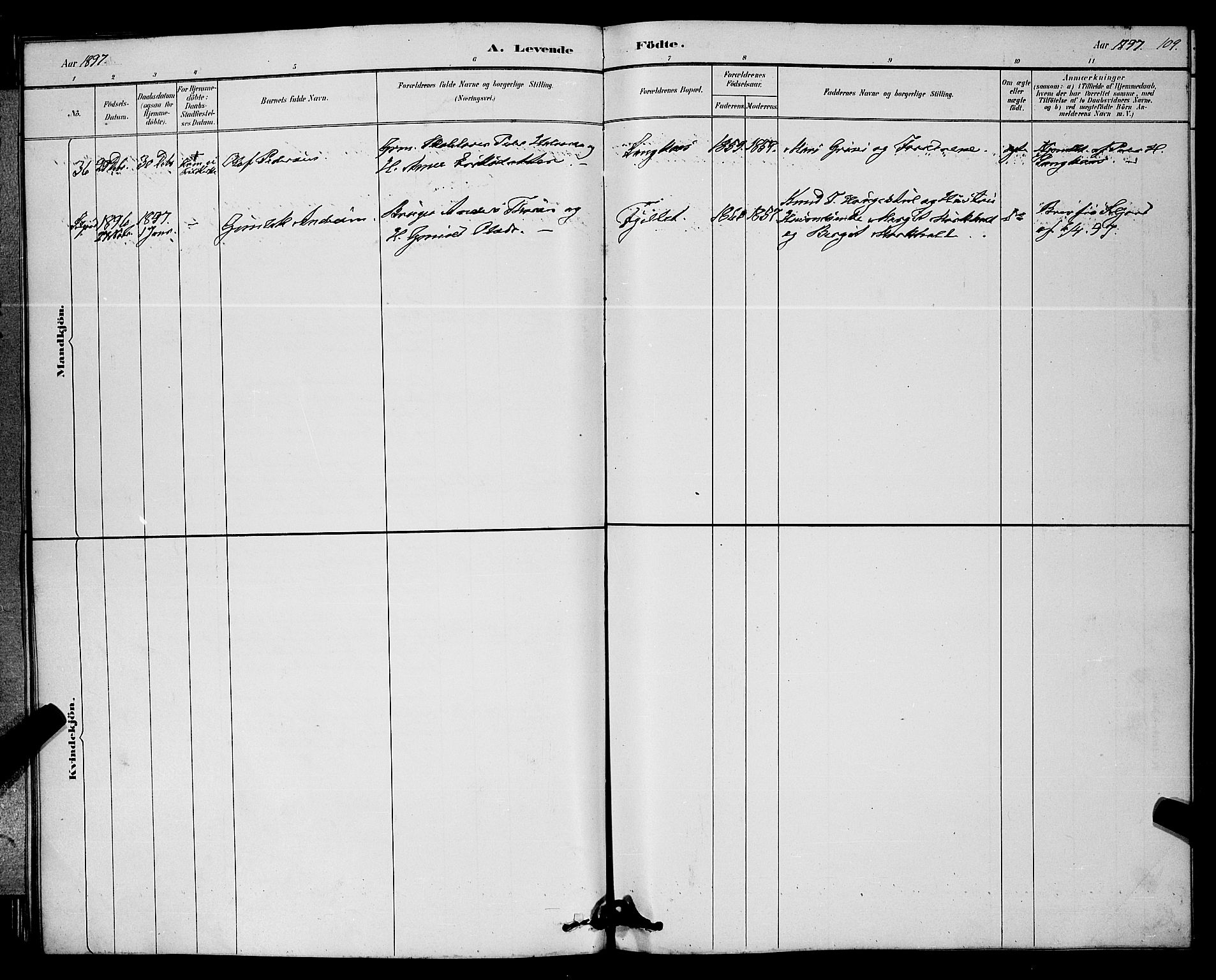 Bø kirkebøker, AV/SAKO-A-257/G/Ga/L0005: Parish register (copy) no. 5, 1883-1897, p. 109