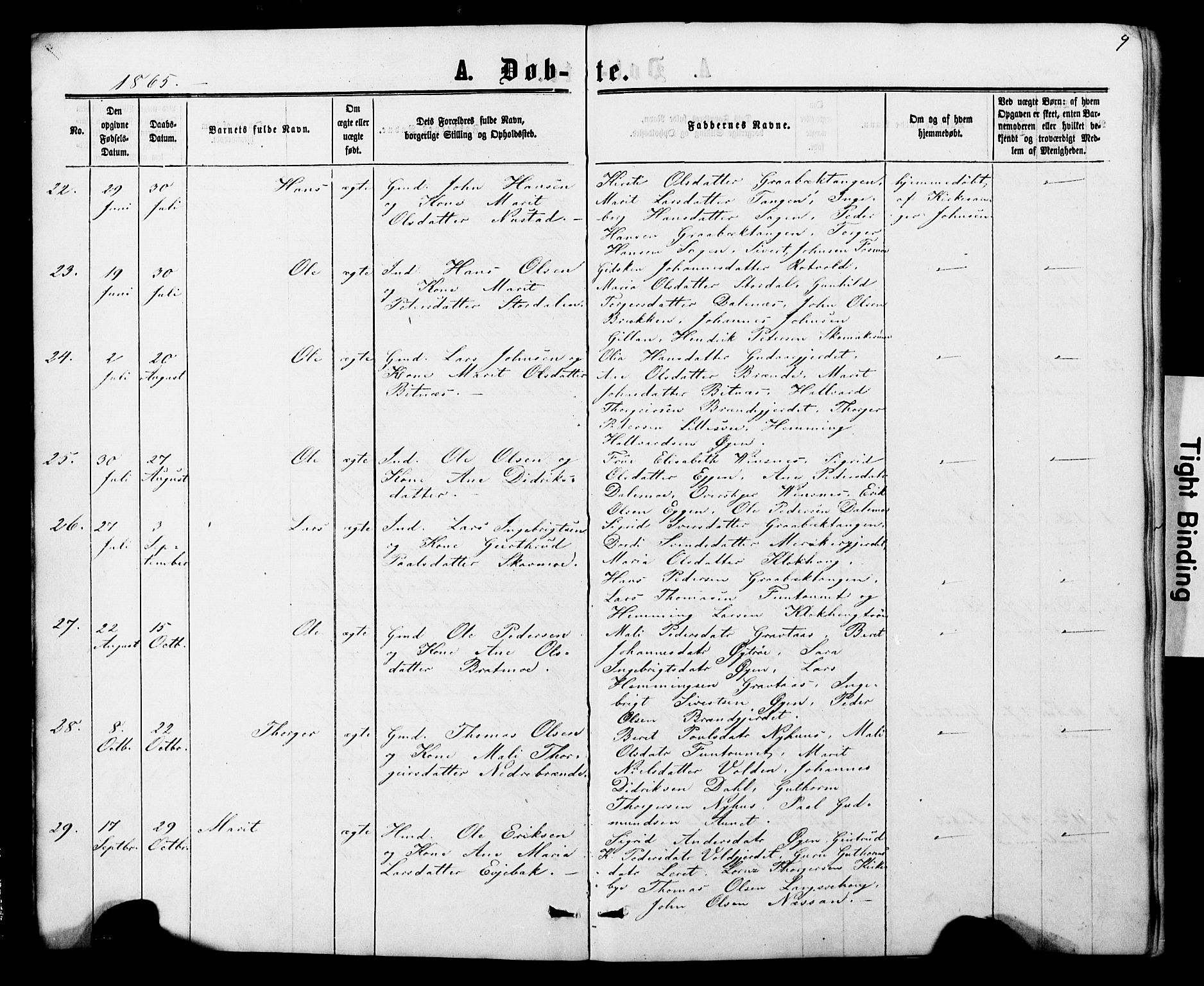 Ministerialprotokoller, klokkerbøker og fødselsregistre - Nord-Trøndelag, SAT/A-1458/706/L0049: Parish register (copy) no. 706C01, 1864-1895, p. 9
