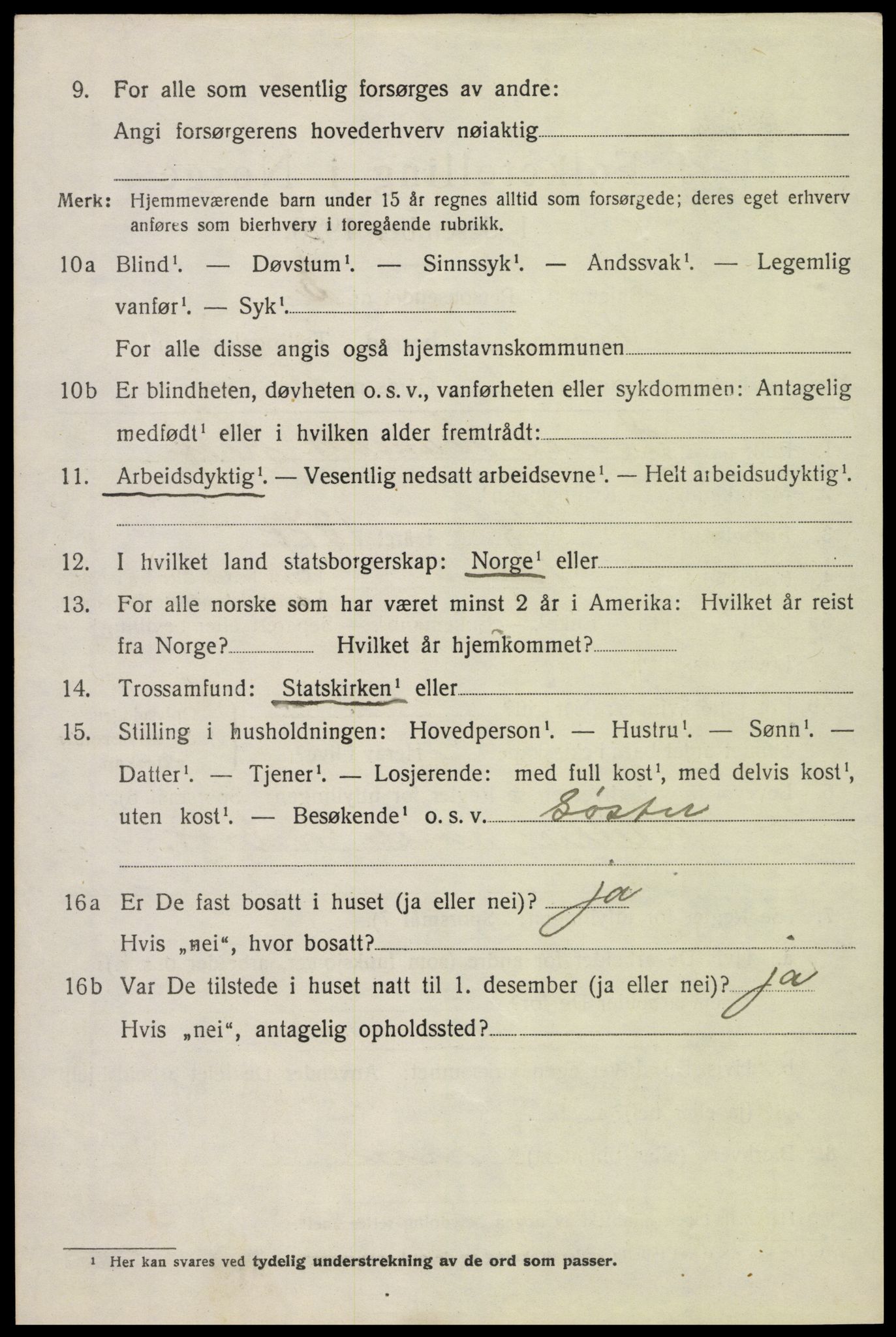 SAH, 1920 census for Biri, 1920, p. 4206