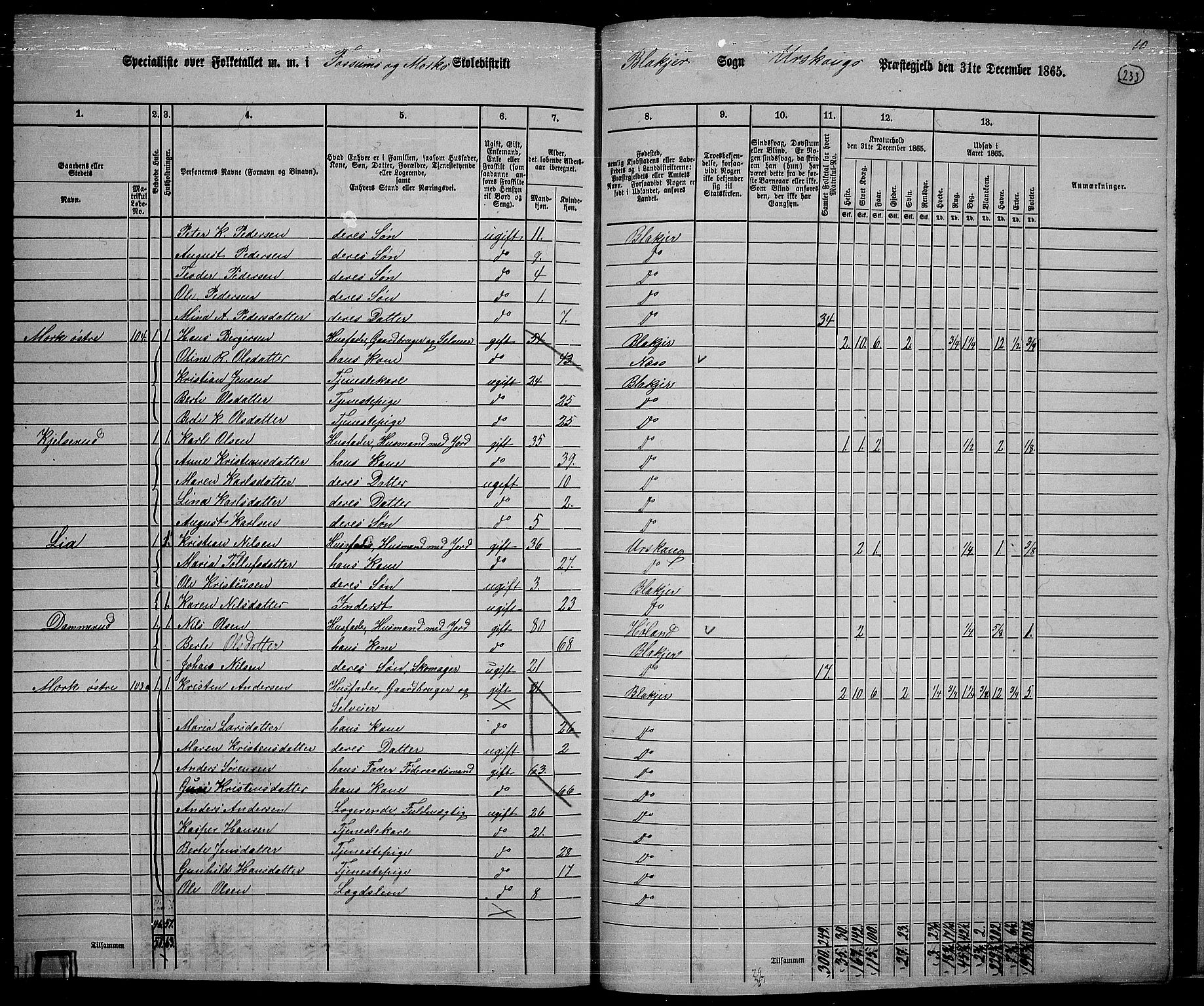 RA, 1865 census for Aurskog, 1865, p. 211