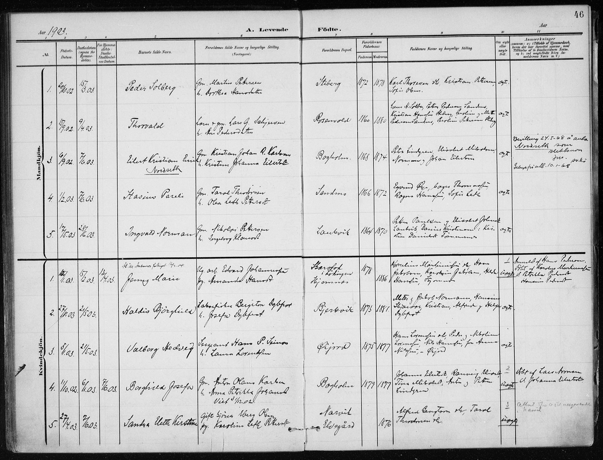 Ministerialprotokoller, klokkerbøker og fødselsregistre - Nordland, AV/SAT-A-1459/866/L0941: Parish register (official) no. 866A04, 1901-1917, p. 46