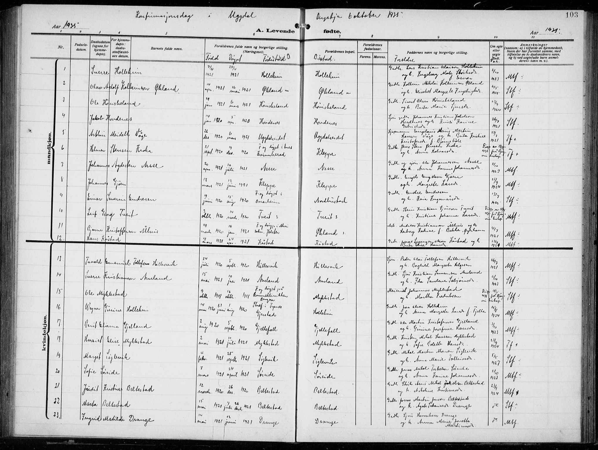 Tysnes sokneprestembete, SAB/A-78601/H/Hab: Parish register (copy) no. E  4, 1912-1936, p. 103