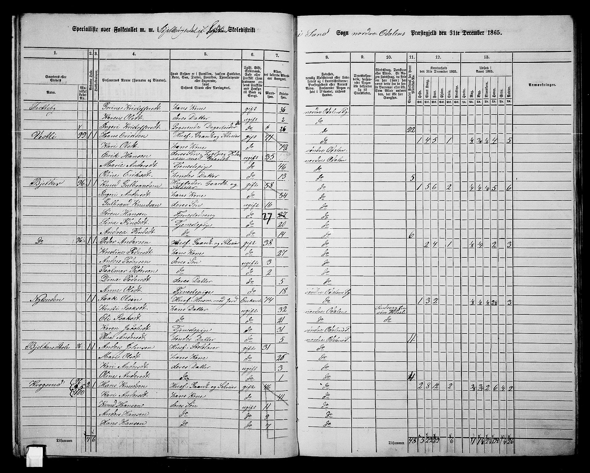 RA, 1865 census for Nord-Odal, 1865, p. 15