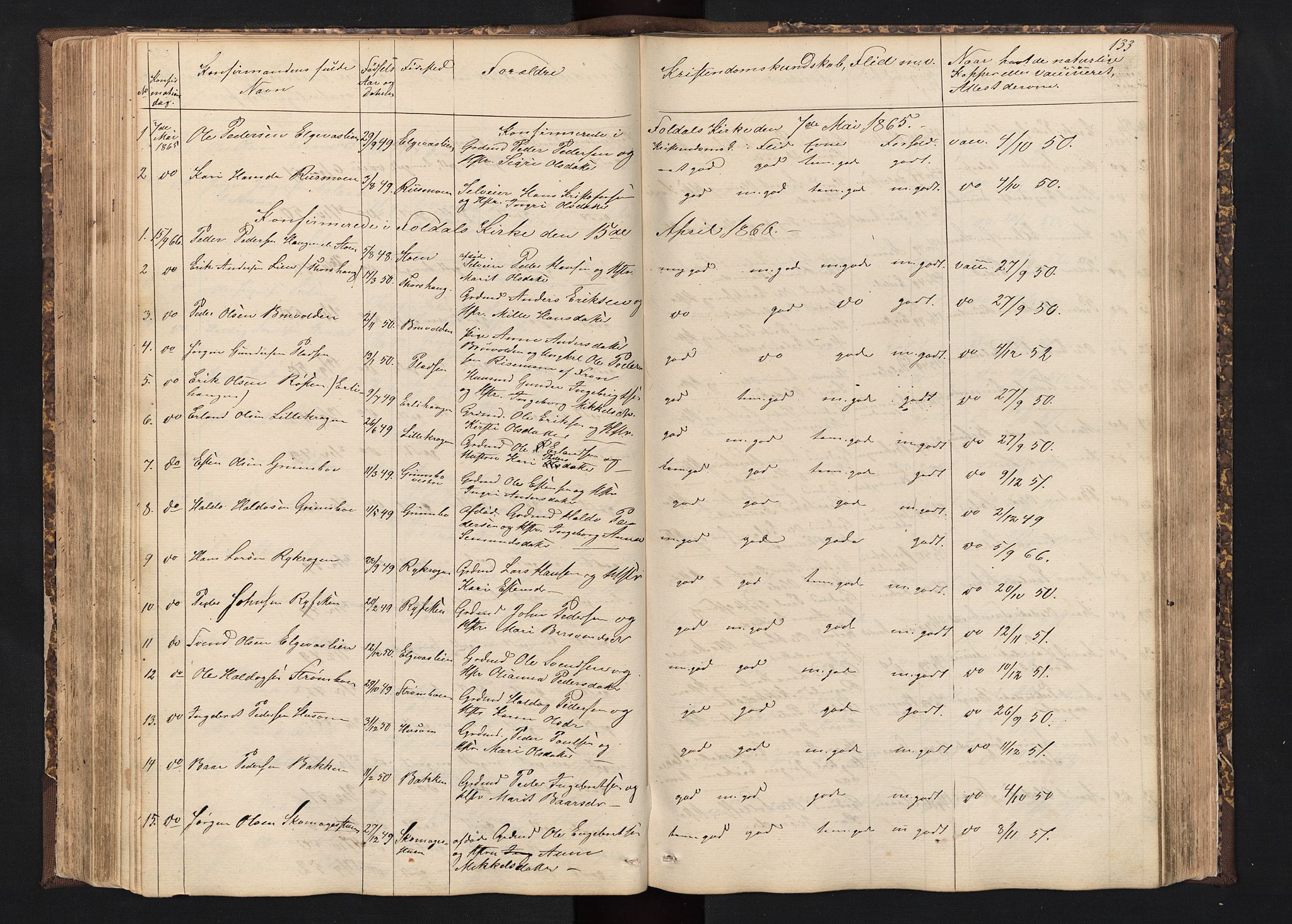 Alvdal prestekontor, SAH/PREST-060/H/Ha/Hab/L0001: Parish register (copy) no. 1, 1857-1893, p. 133