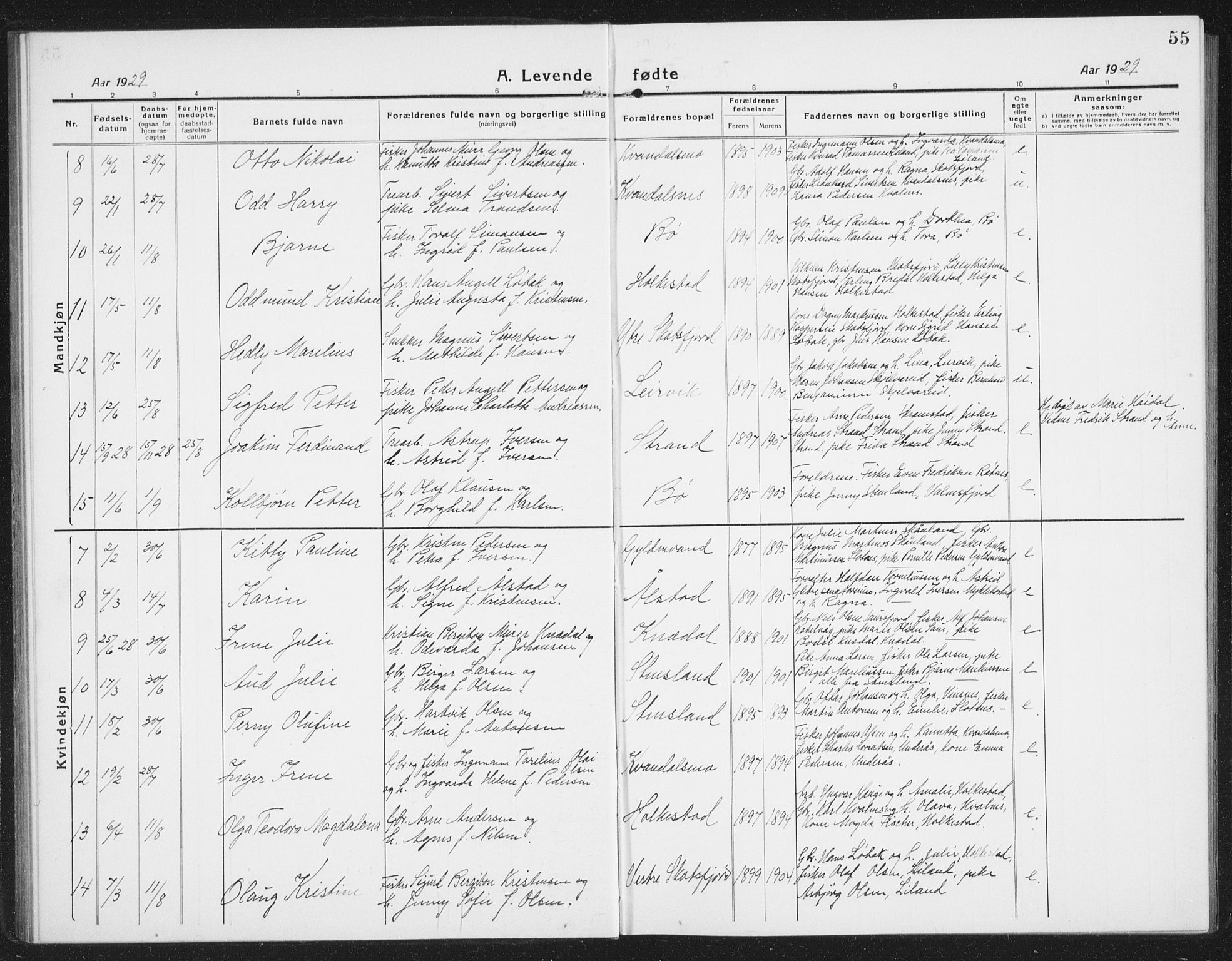 Ministerialprotokoller, klokkerbøker og fødselsregistre - Nordland, AV/SAT-A-1459/855/L0817: Parish register (copy) no. 855C06, 1917-1934, p. 55