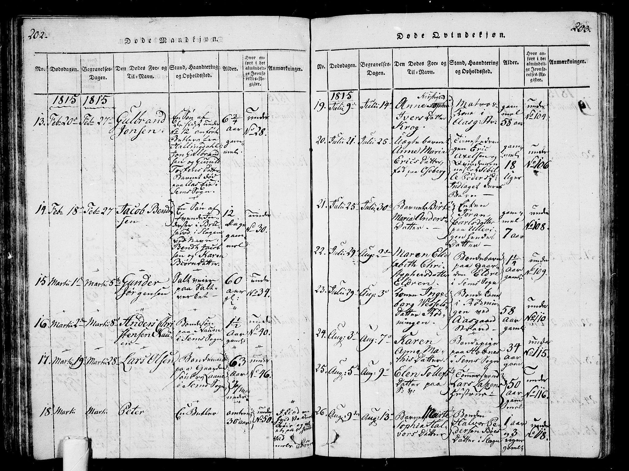 Sem kirkebøker, AV/SAKO-A-5/G/Ga/L0001: Parish register (copy) no. I 1, 1814-1825, p. 202-203