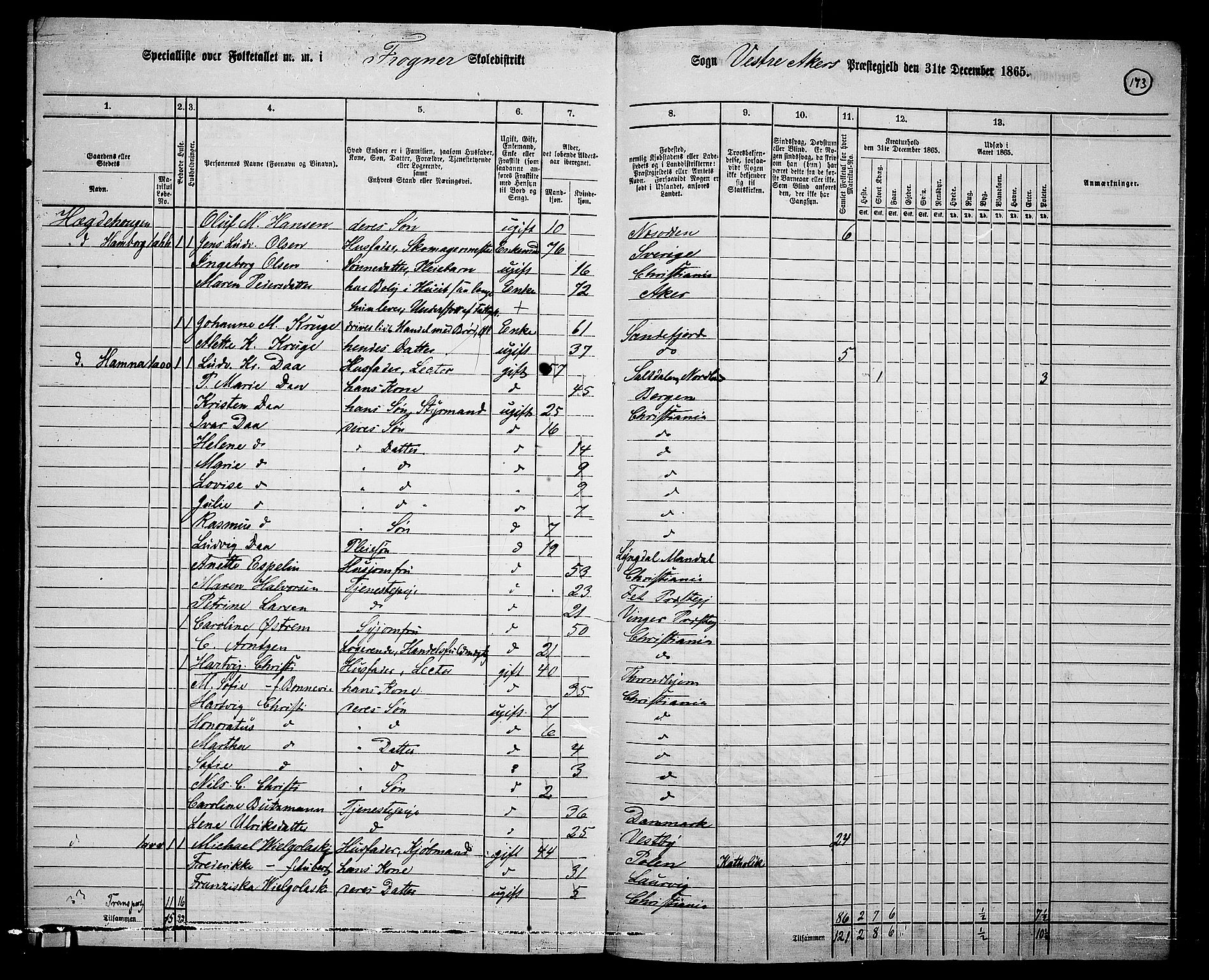 RA, 1865 census for Vestre Aker, 1865, p. 339