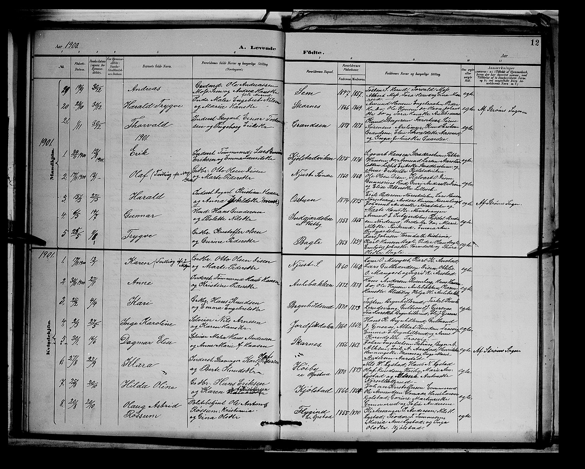 Sør-Odal prestekontor, AV/SAH-PREST-030/H/Ha/Hab/L0003: Parish register (copy) no. 3, 1895-1906, p. 12