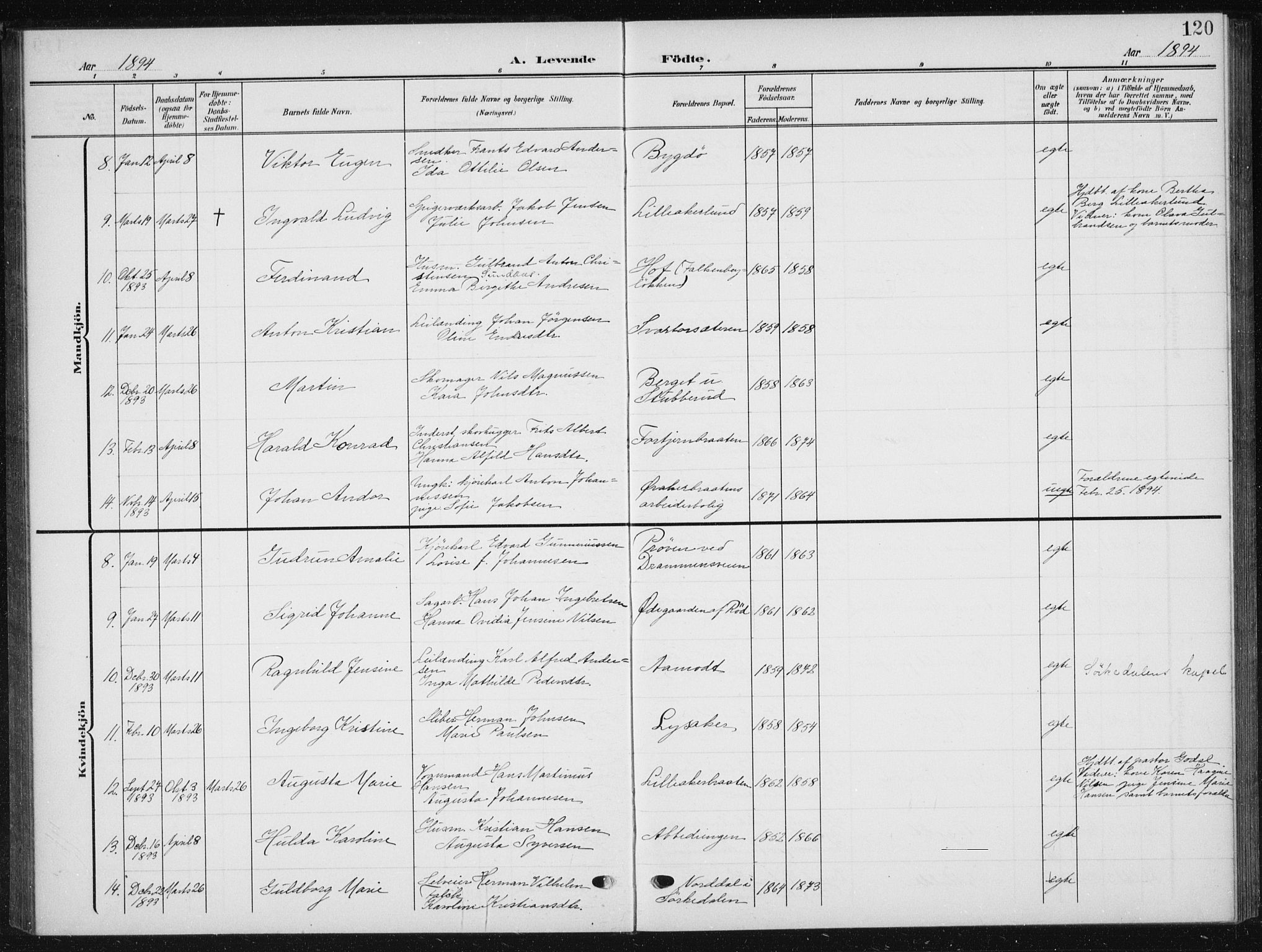 Vestre Aker prestekontor Kirkebøker, SAO/A-10025/F/Fb/L0001: Parish register (official) no. II 1, 1880-1906, p. 120
