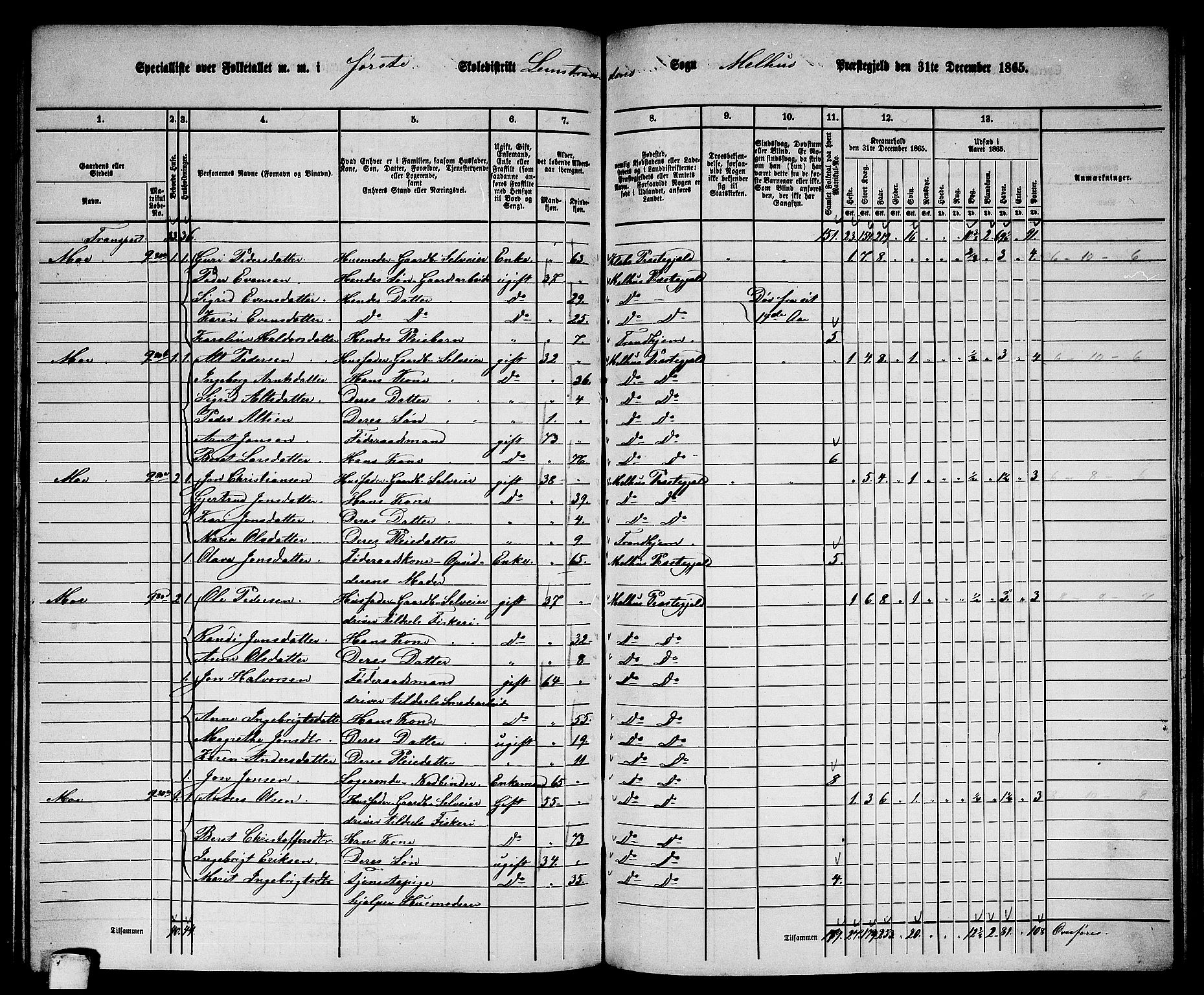 RA, 1865 census for Melhus, 1865, p. 206