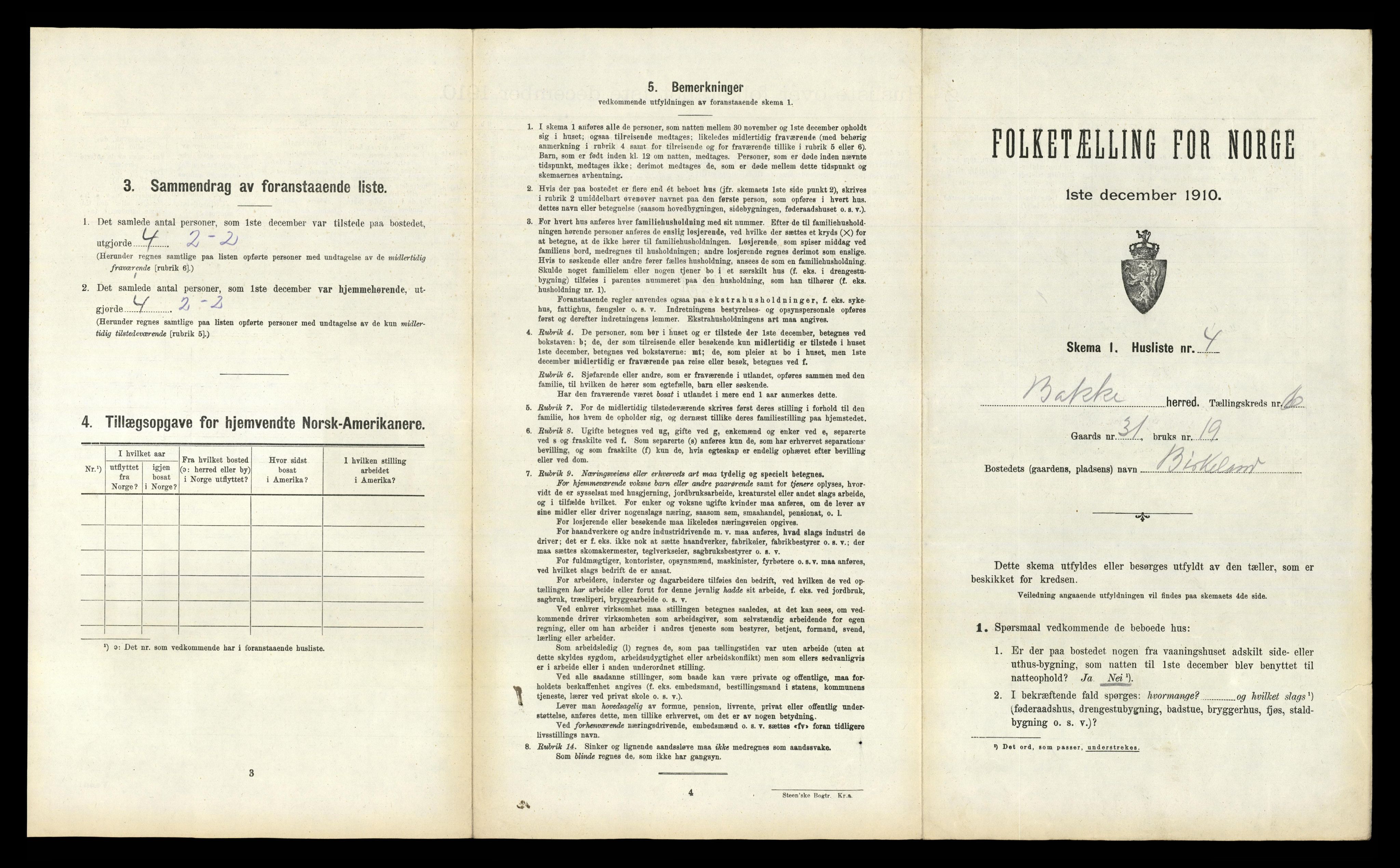 RA, 1910 census for Bakke, 1910, p. 307