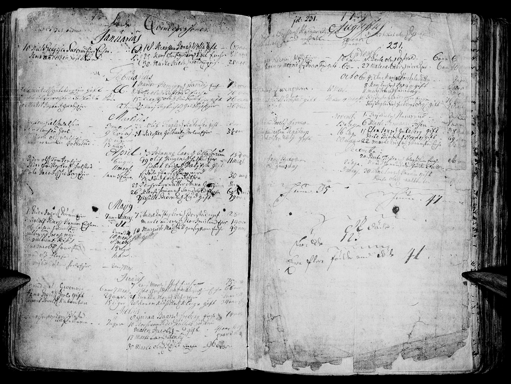 Vang prestekontor, Hedmark, SAH/PREST-008/H/Ha/Haa/L0003: Parish register (official) no. 3, 1734-1809, p. 231