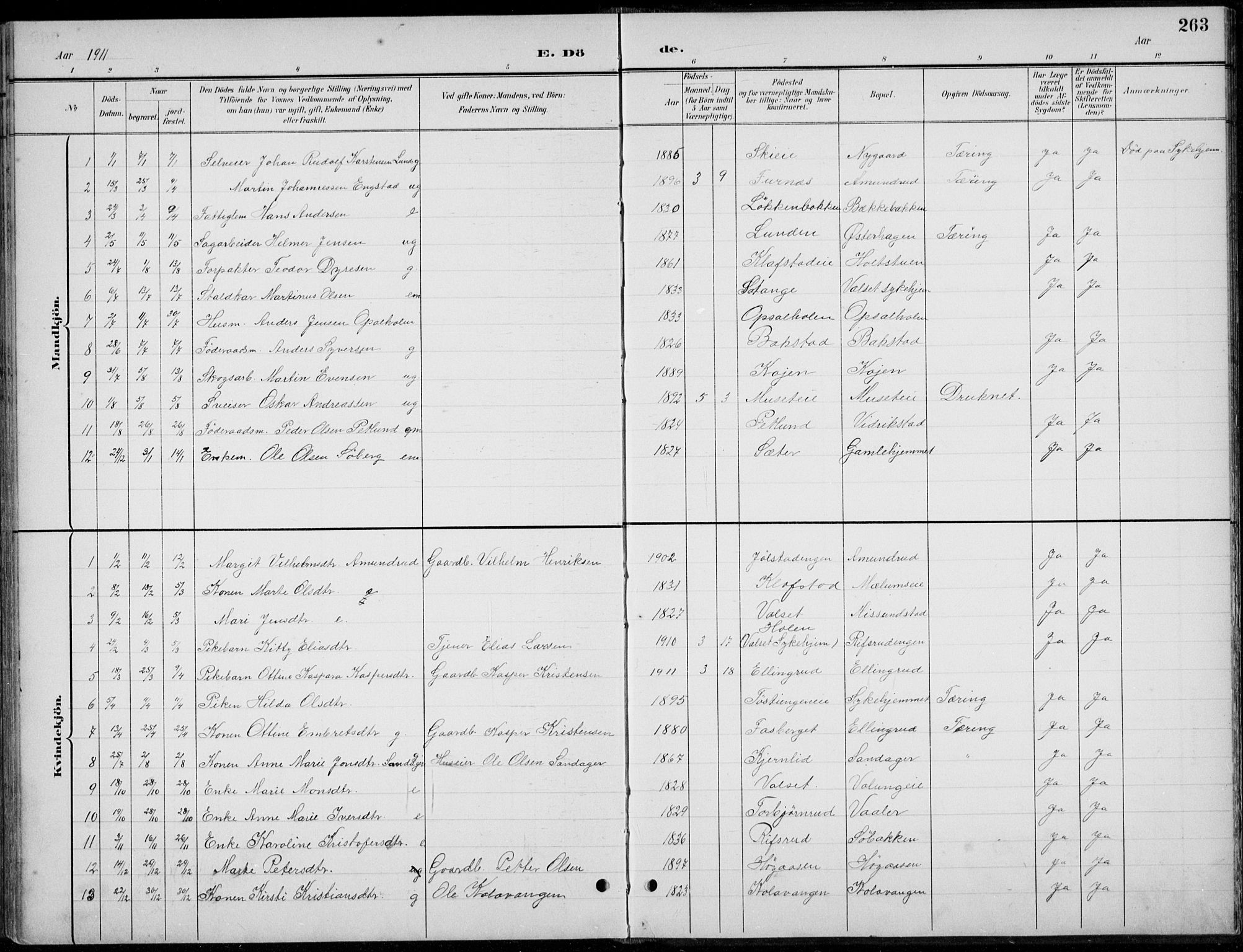 Romedal prestekontor, AV/SAH-PREST-004/L/L0013: Parish register (copy) no. 13, 1896-1937, p. 263