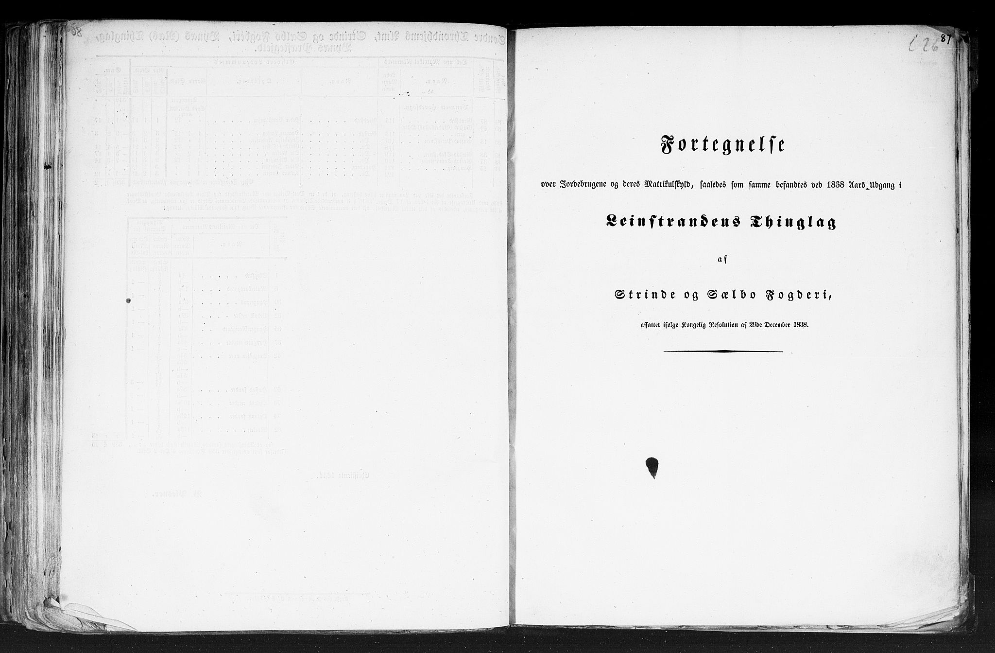 Rygh, RA/PA-0034/F/Fb/L0014: Matrikkelen for 1838 - Søndre Trondhjems amt (Sør-Trøndelag fylke), 1838, p. 87a