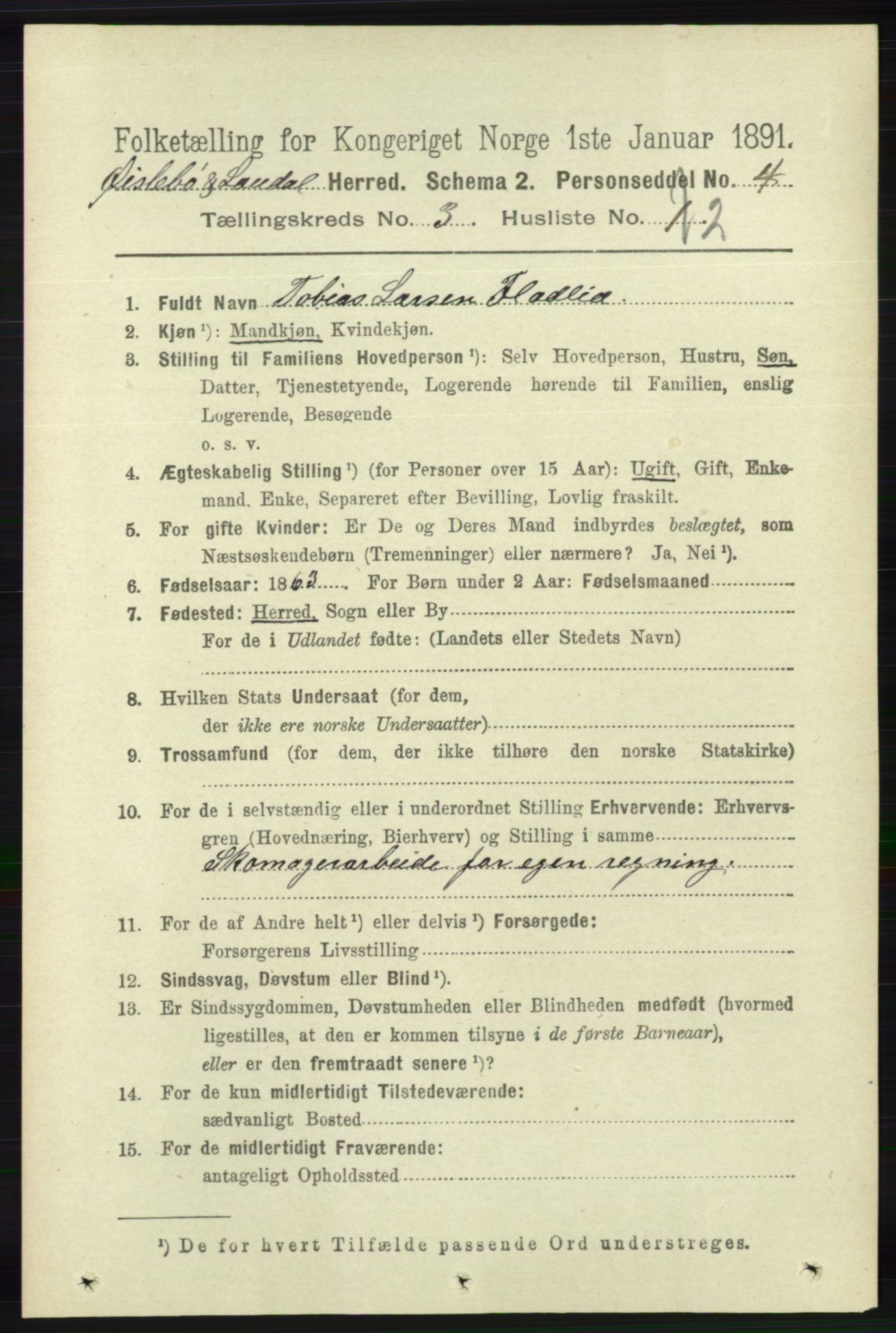 RA, 1891 census for 1021 Øyslebø og Laudal, 1891, p. 748