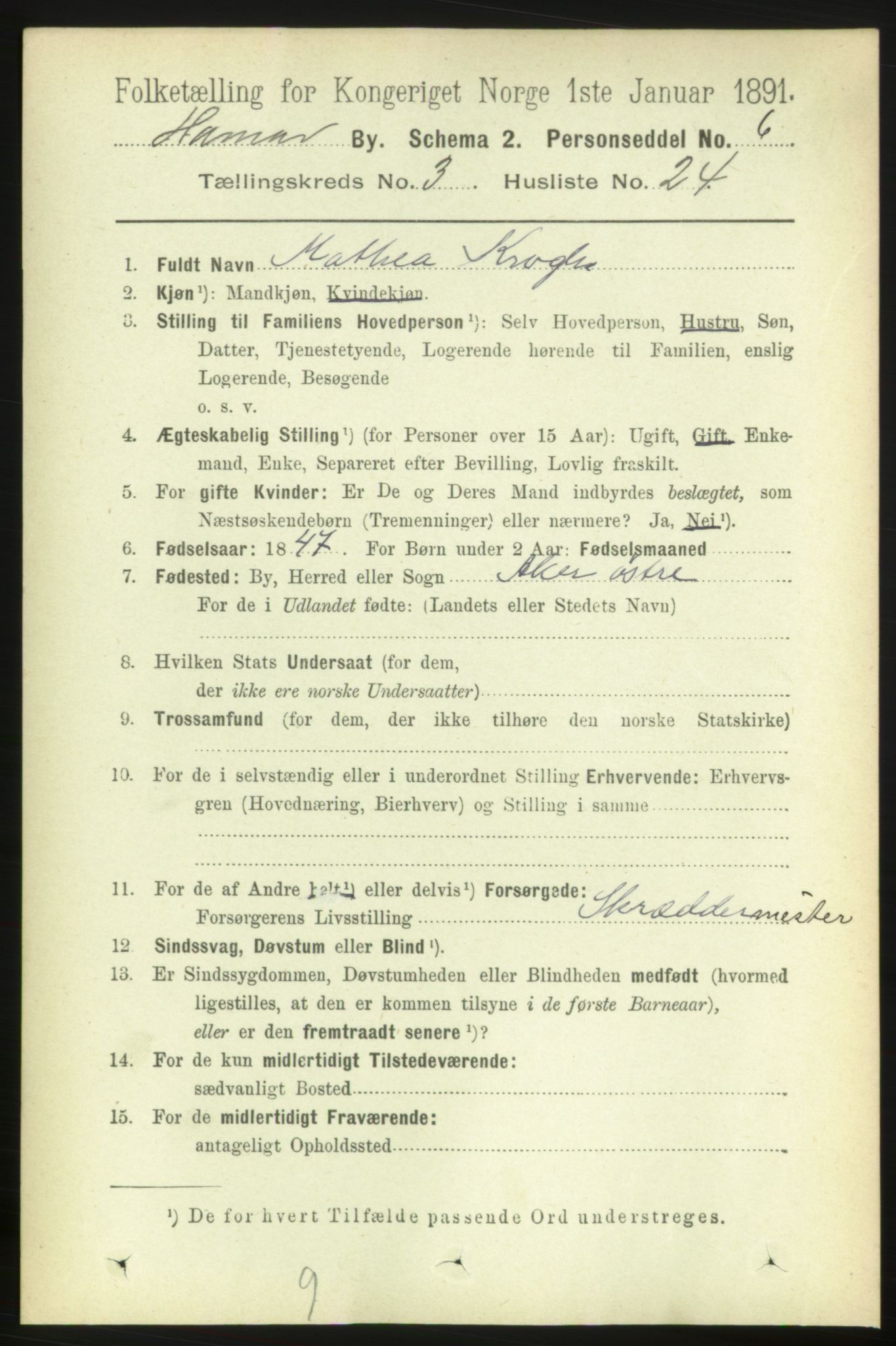 RA, 1891 census for 0401 Hamar, 1891, p. 2238