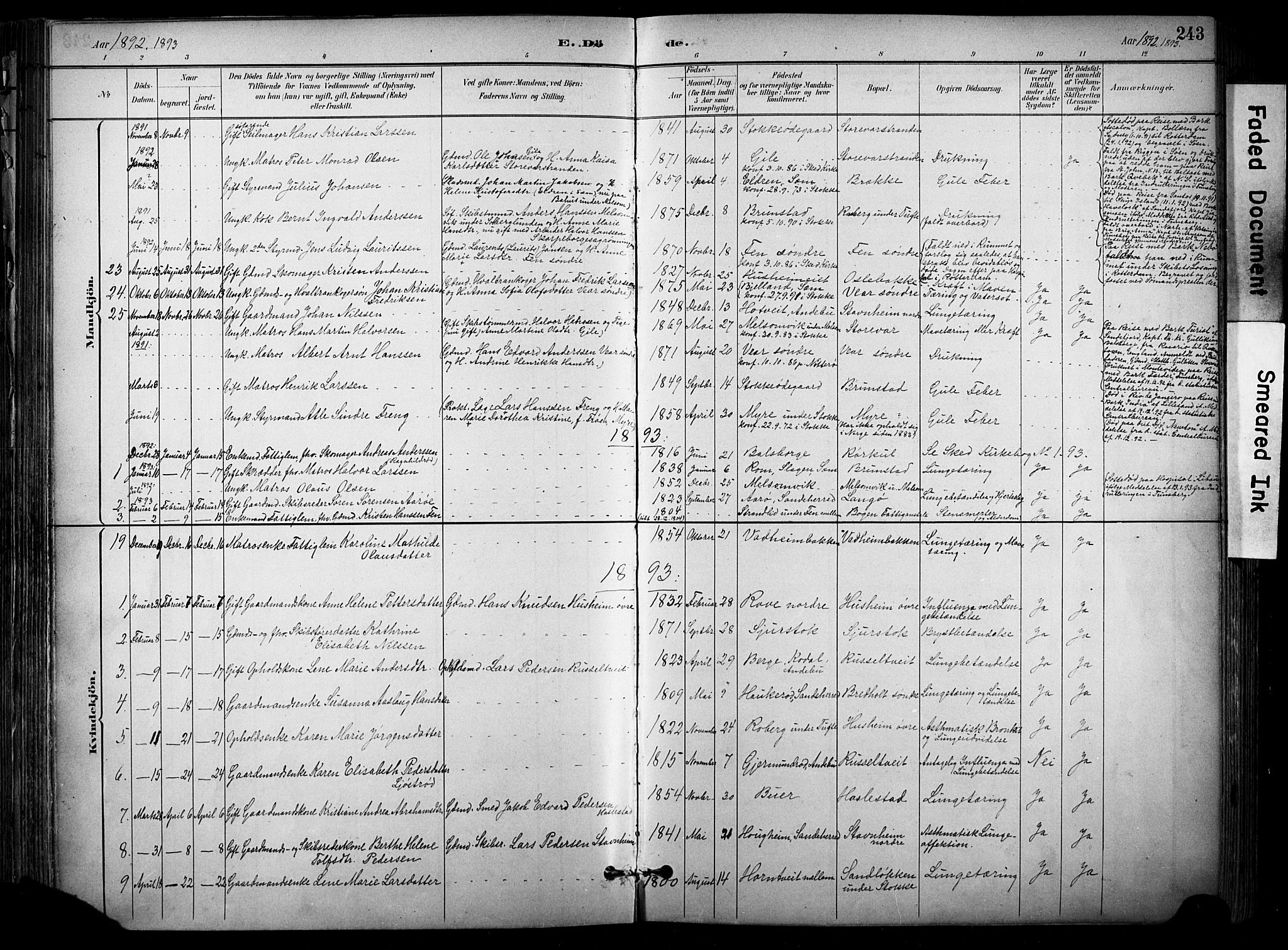 Stokke kirkebøker, SAKO/A-320/F/Fa/L0010: Parish register (official) no. I 10, 1884-1903, p. 243