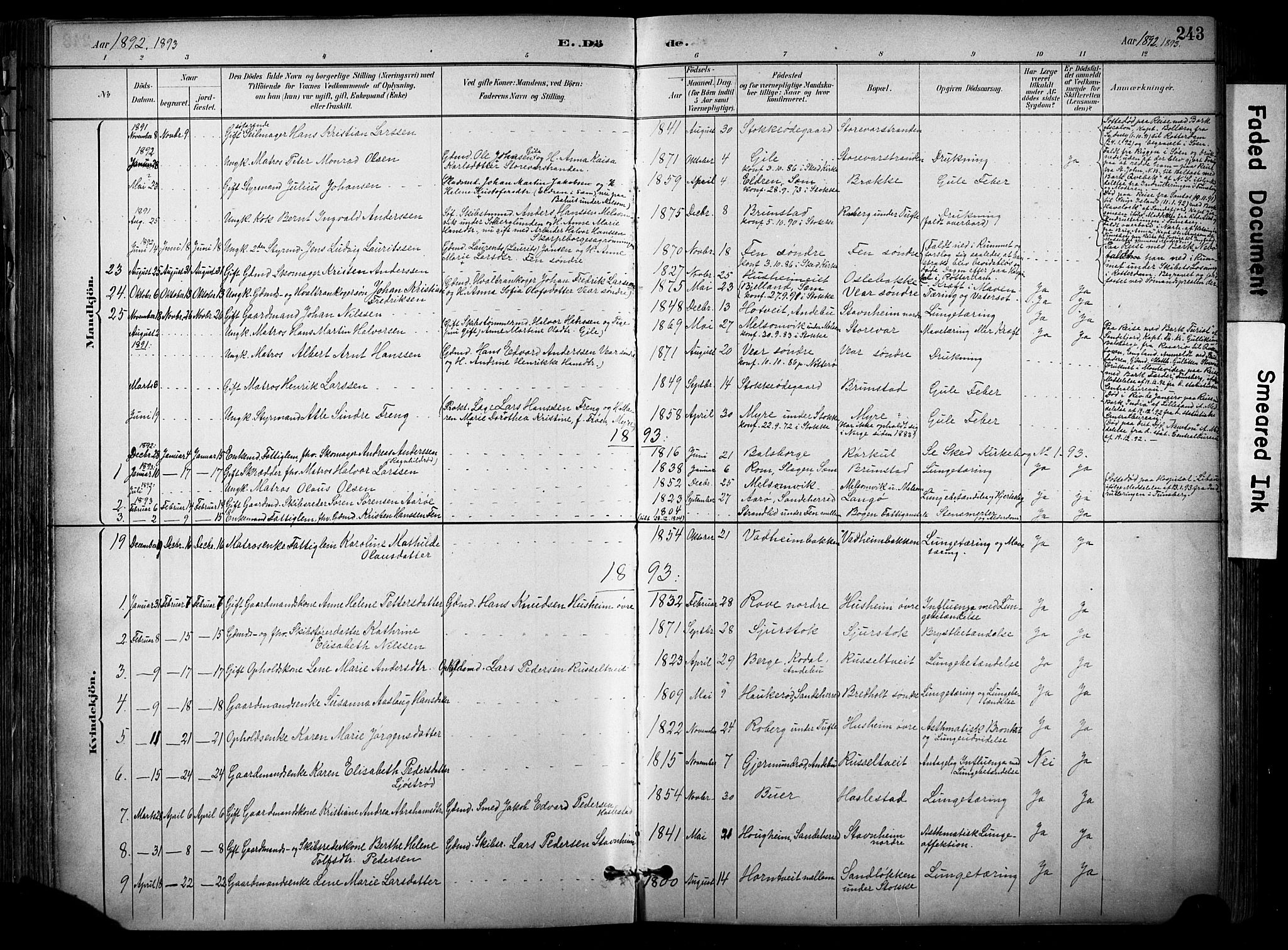 Stokke kirkebøker, AV/SAKO-A-320/F/Fa/L0010: Parish register (official) no. I 10, 1884-1903, p. 243