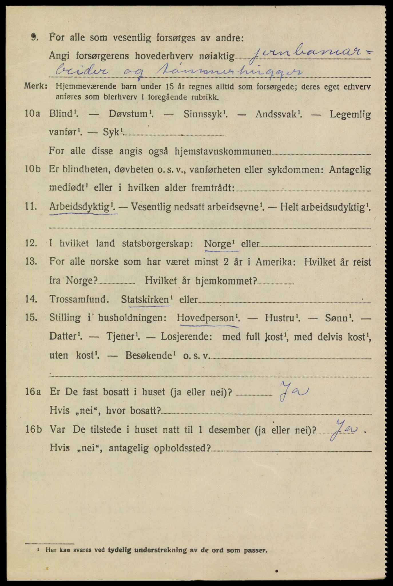 SAKO, 1920 census for Heddal, 1920, p. 5315