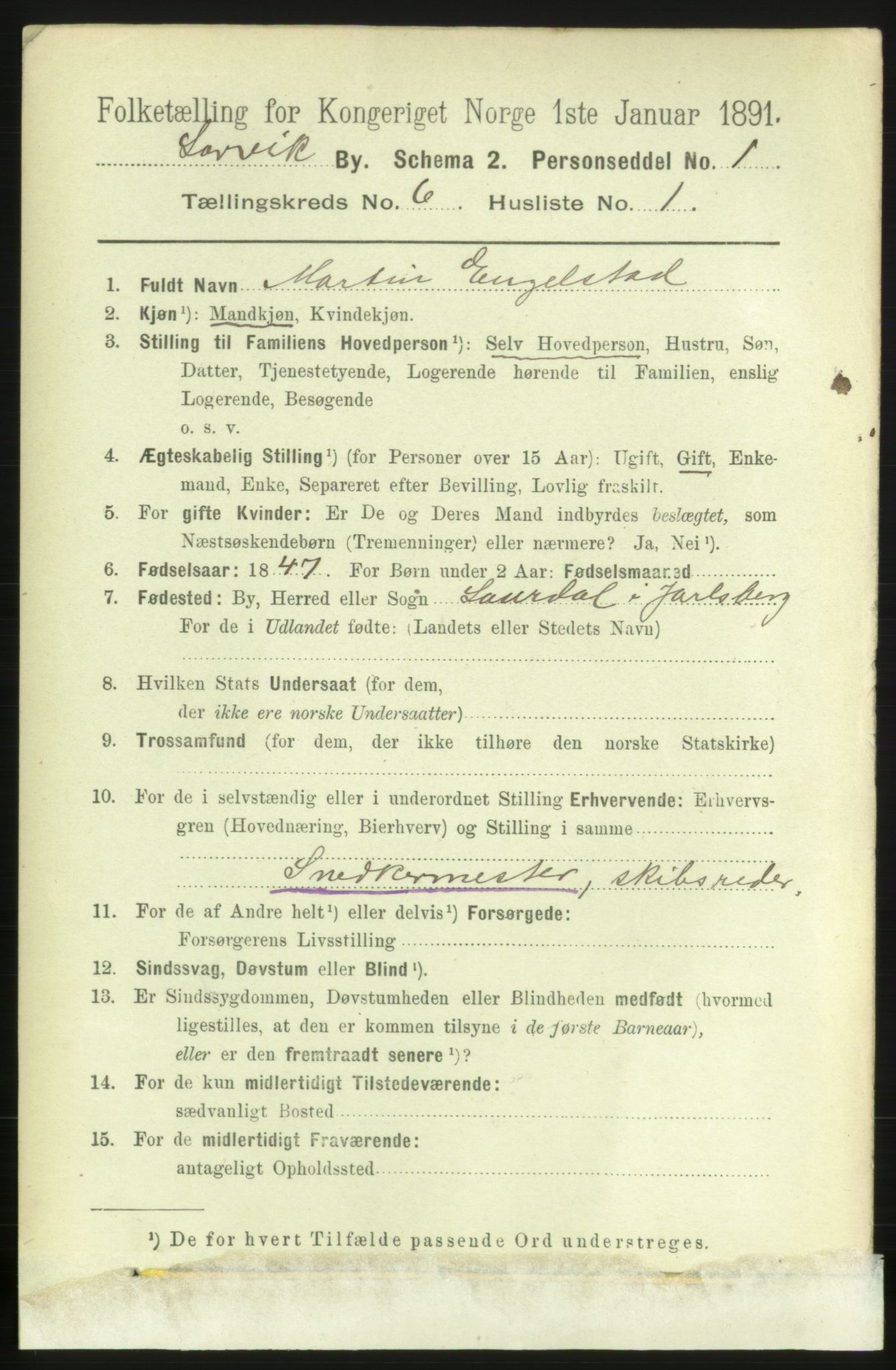 RA, 1891 census for 0707 Larvik, 1891, p. 6581