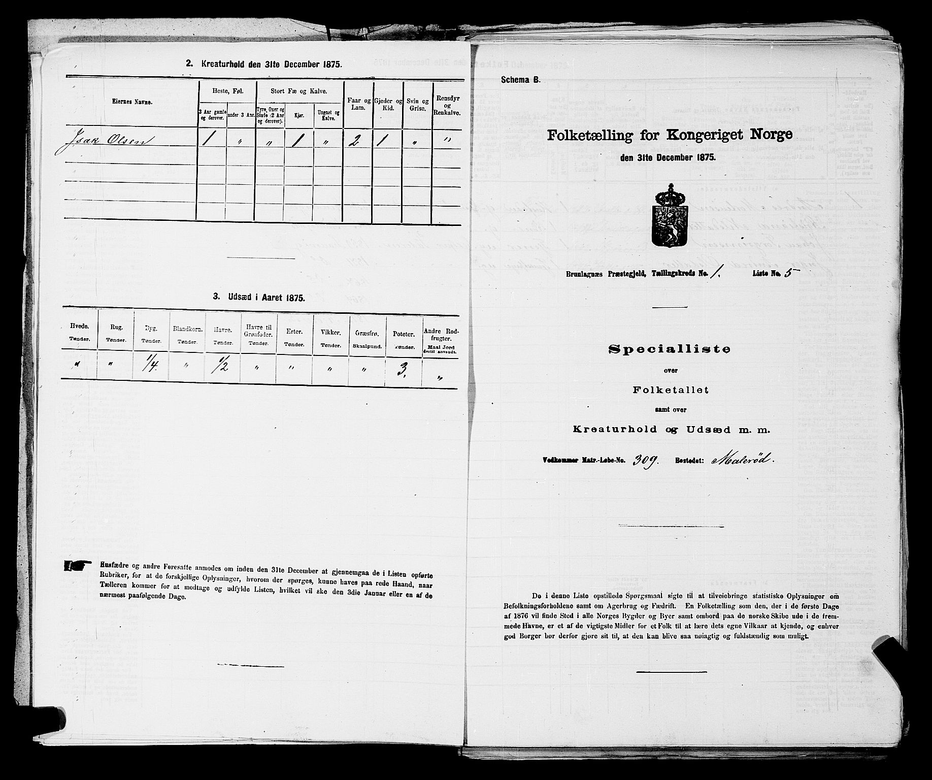 SAKO, 1875 census for 0726P Brunlanes, 1875, p. 71