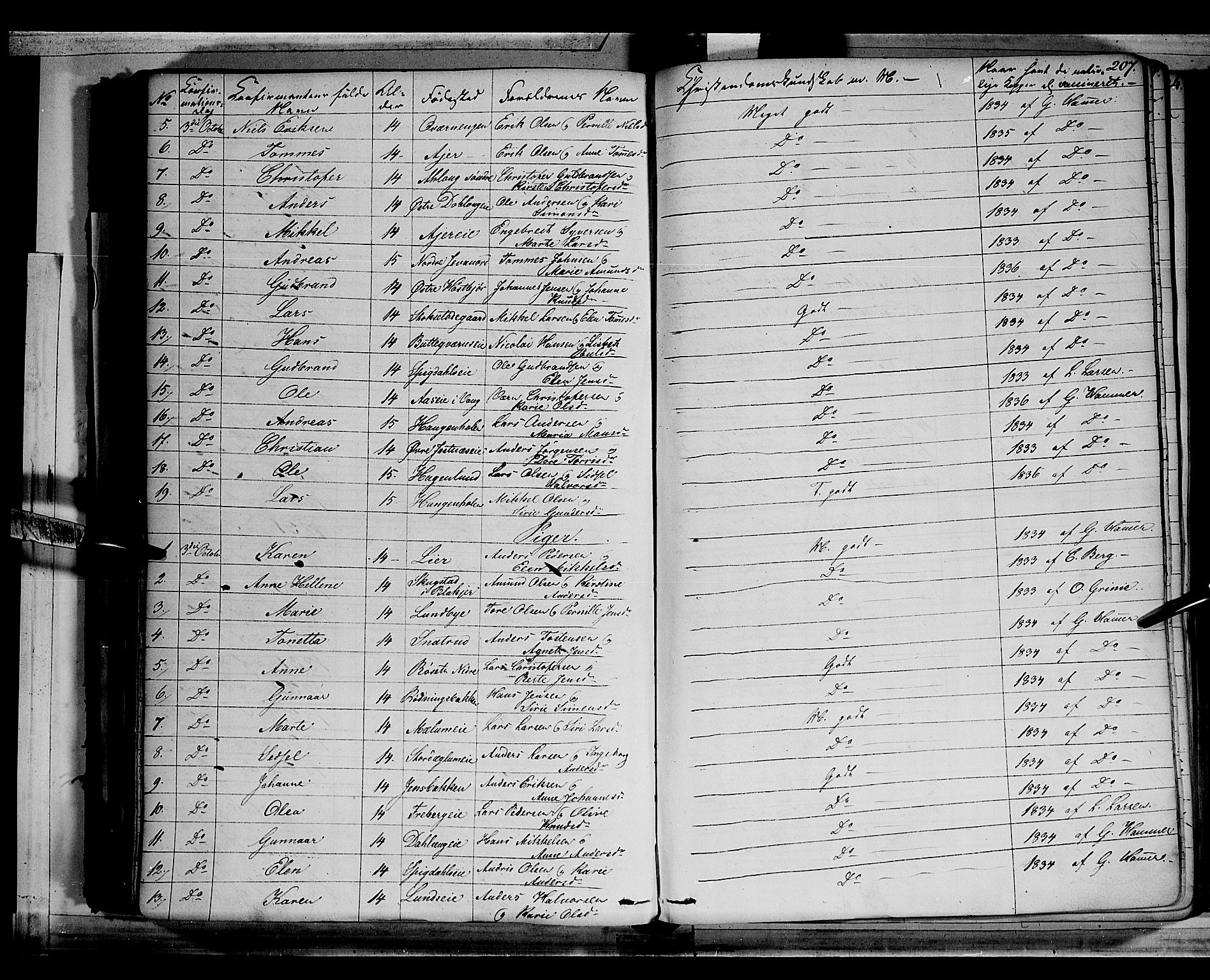 Vang prestekontor, Hedmark, SAH/PREST-008/H/Ha/Haa/L0010: Parish register (official) no. 10, 1841-1855, p. 207